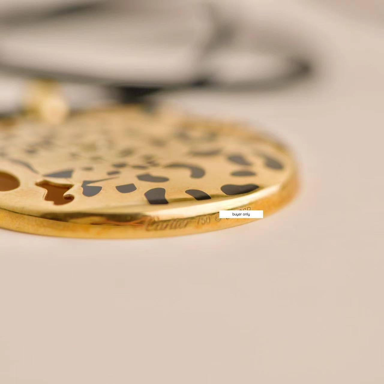 Cartier Gelbgold Emaille Tsavorit Panthere Anhänger Kordel Halskette im Angebot 1