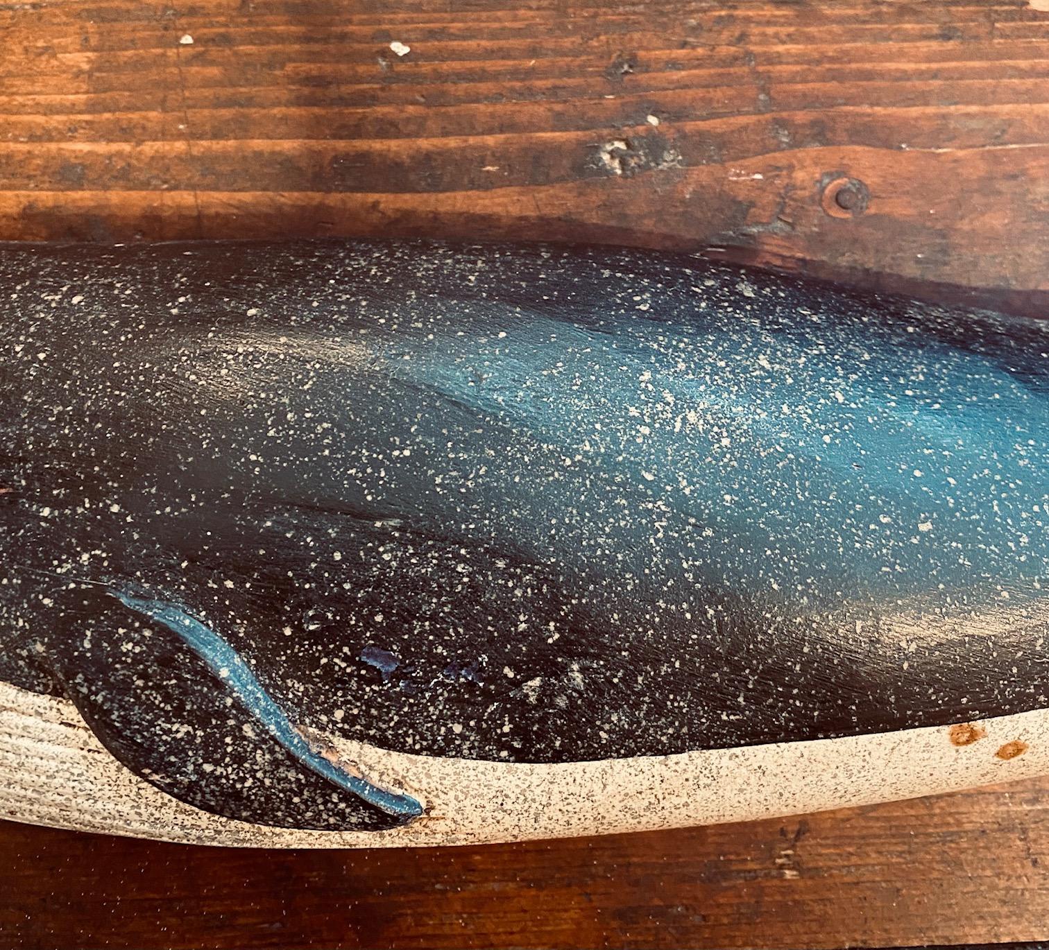 fin whale toy