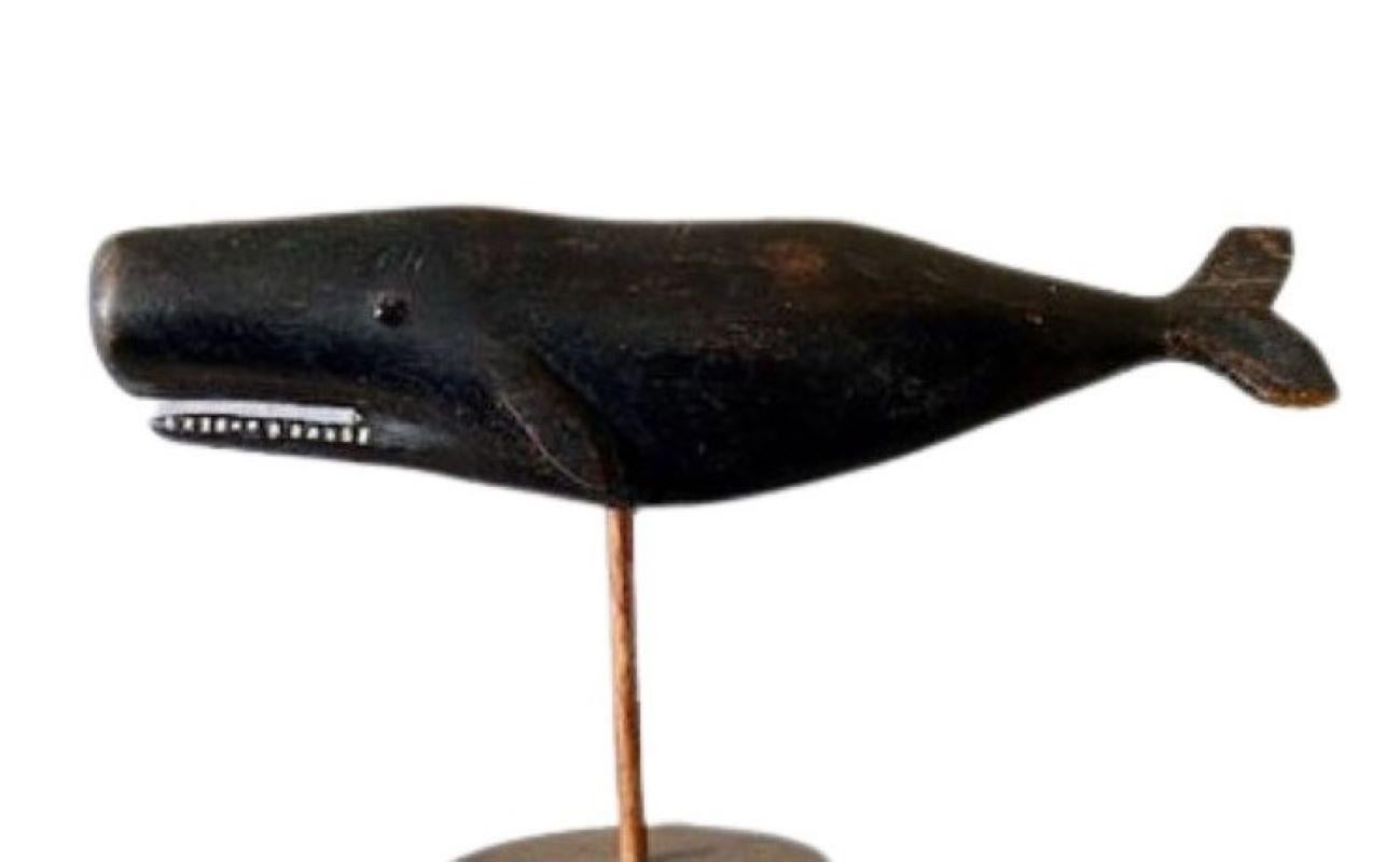 Antique Carved Sperm Whale, circa 1900, a fine and early hand carved figure of a sperm whale with carved and painted detail to open jaw, in original black paint with highlights. A very well shaped and contoured body carved in good proportion and