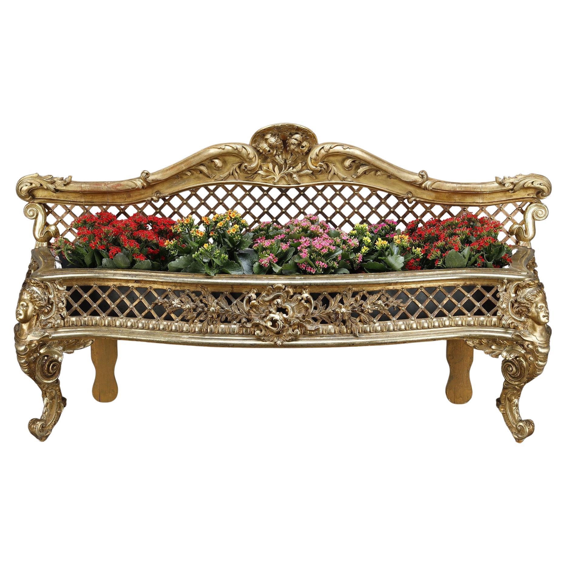 Carved and gilded wood jardinière, Louis XV Style