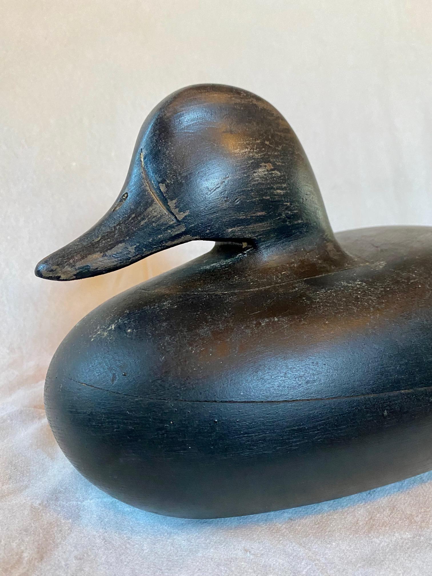 Carved and Painted Black Duck Decoy, by Pat Gardner, Nantucket, circa 1960s, a carved wooden working decoy style black duck with head set well back on shelf in the content posture, with carved mandible and nares, on plump body with paddle tail,