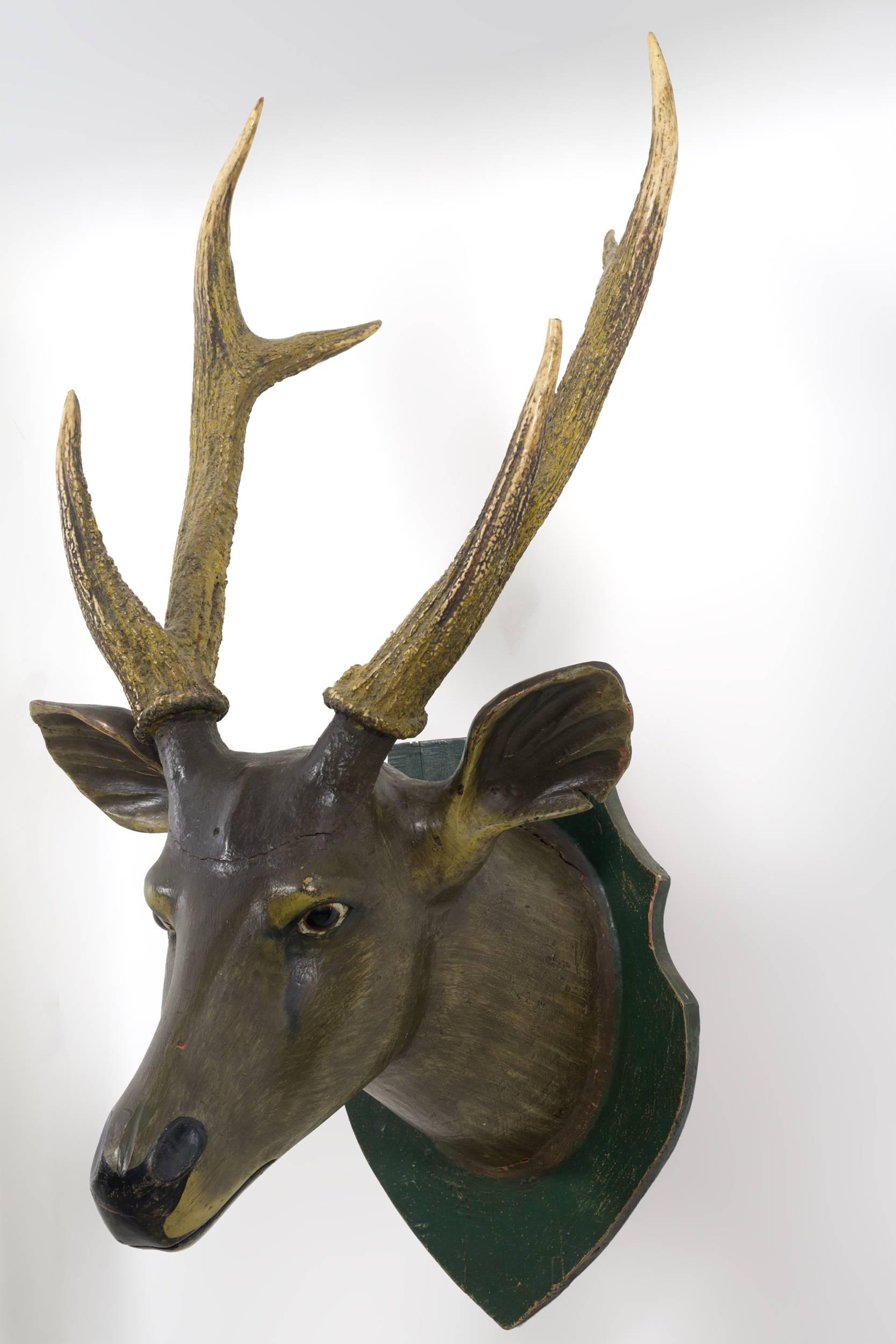 Carved and painted folky deer head with glass eyes
recycled antler, mounted on a green painted shield
plaque. Carved in naturalistic style. Original condition
with some age cracks. Attributed to Axel Gustafson
(1867-1945), Franklinville, New