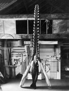 Carved and Painted Six Whale Species Board Made by Nantucket Whaler, circa 1940