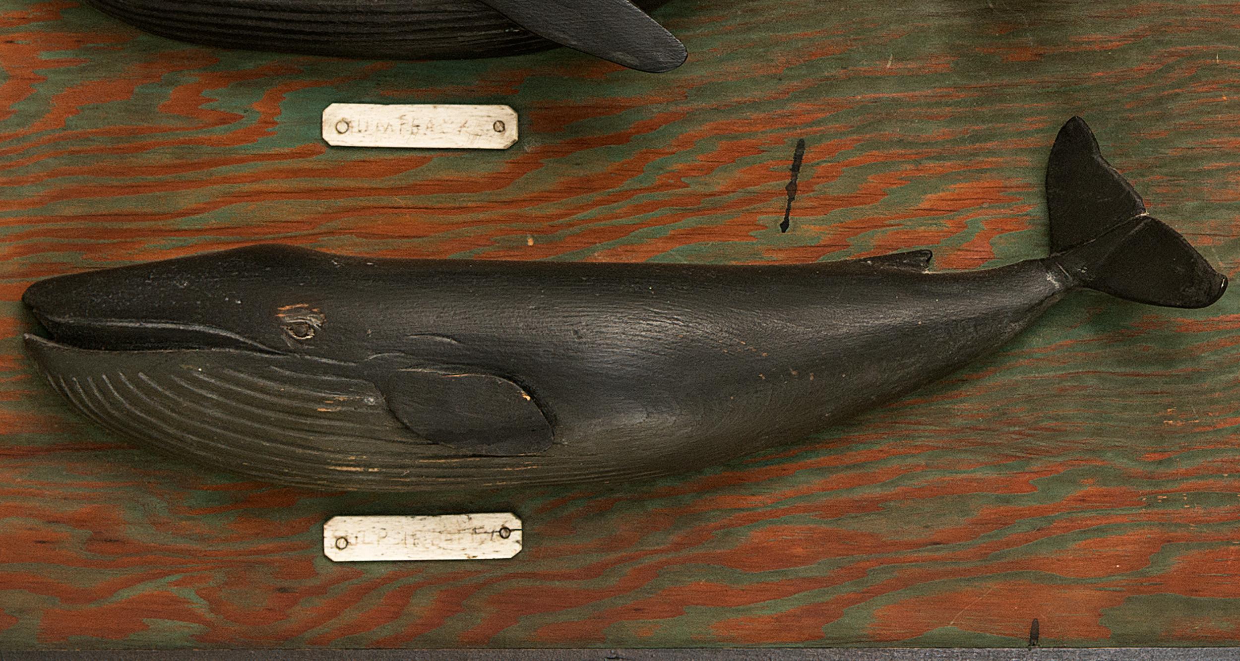 Folk Art Carved and Painted Six Whale Species Board Made by Nantucket Whaler, circa 1940 For Sale