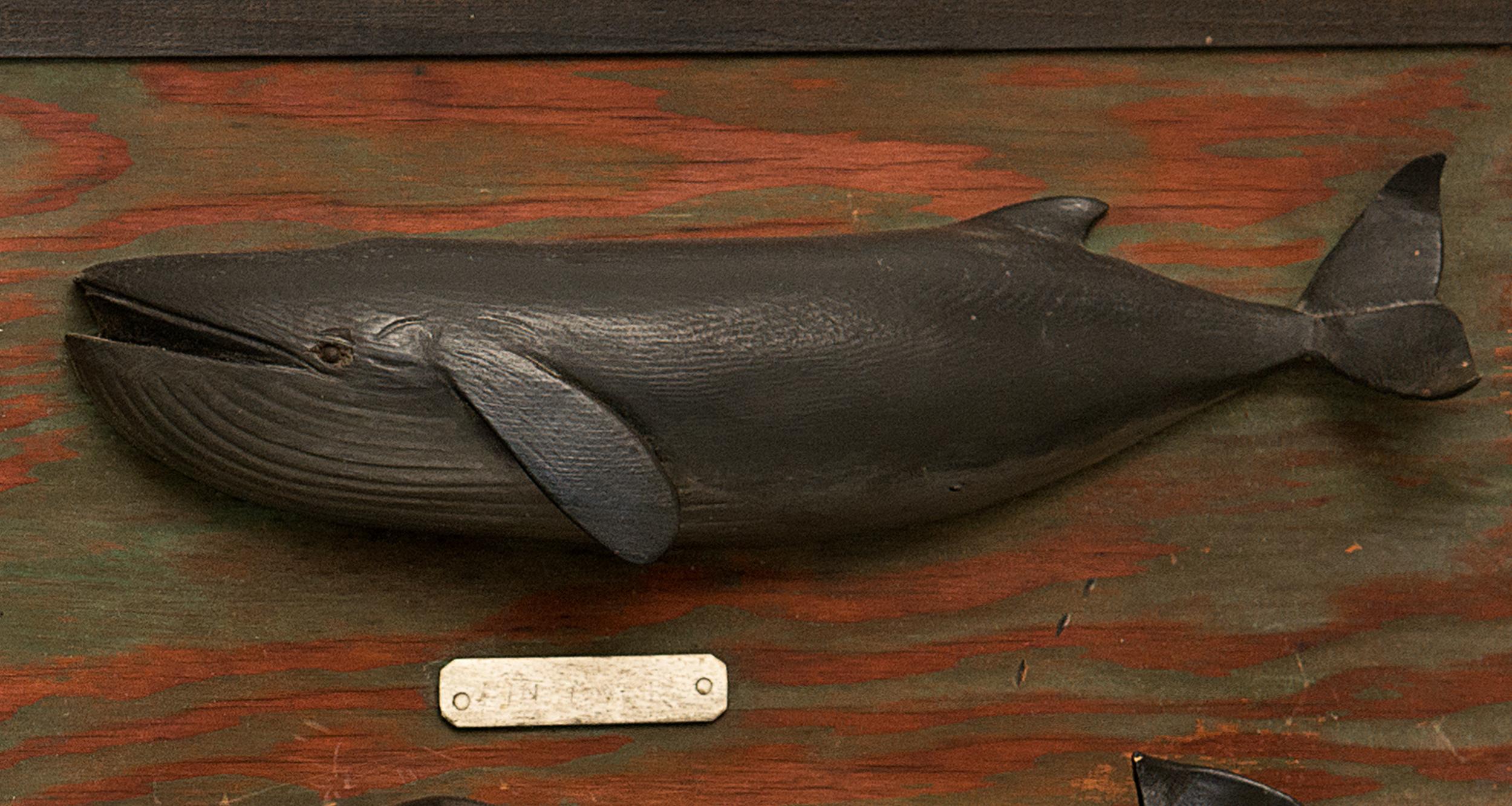 American Carved and Painted Six Whale Species Board Made by Nantucket Whaler, circa 1940 For Sale