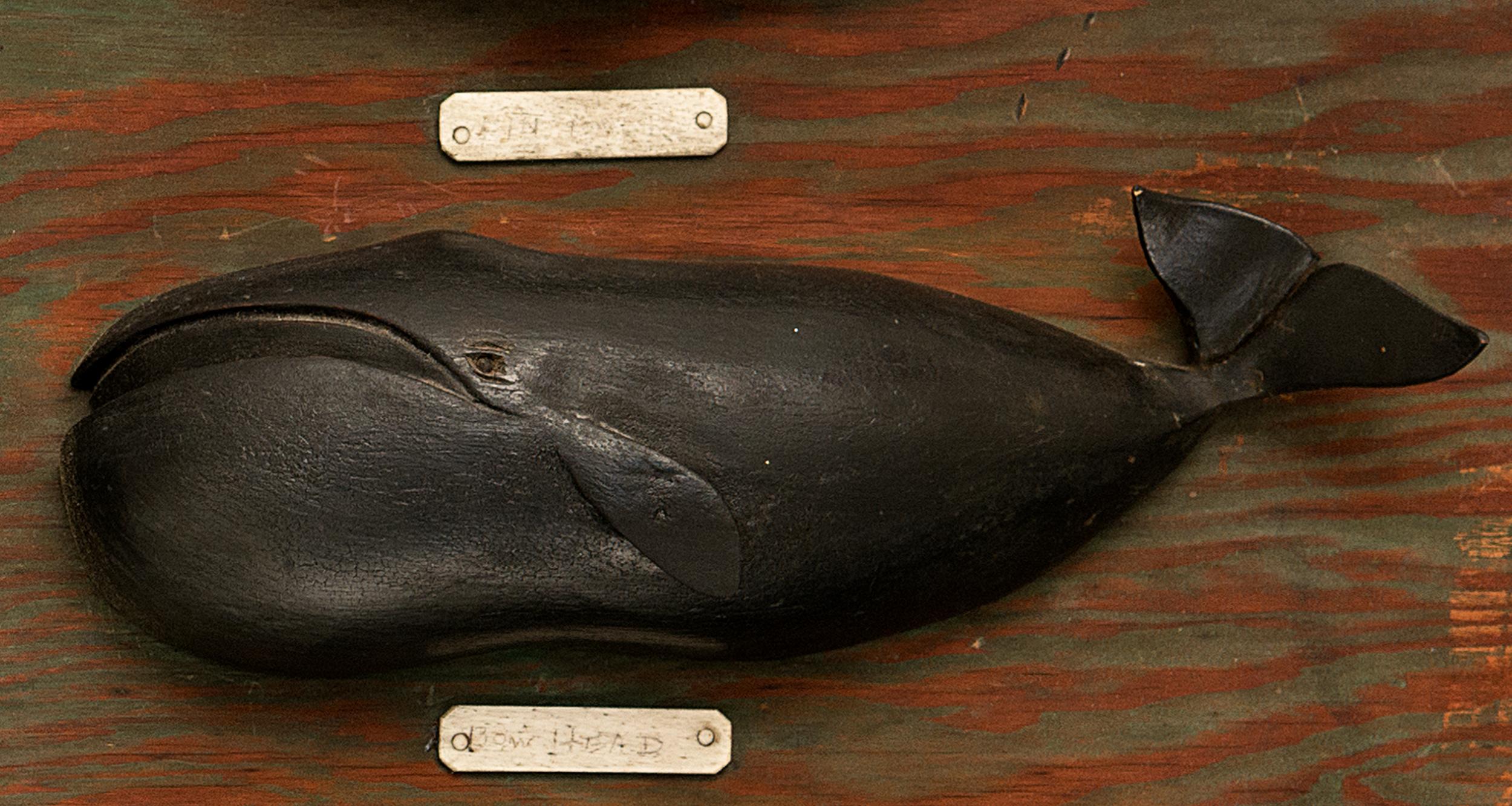 20th Century Carved and Painted Six Whale Species Board Made by Nantucket Whaler, circa 1940 For Sale