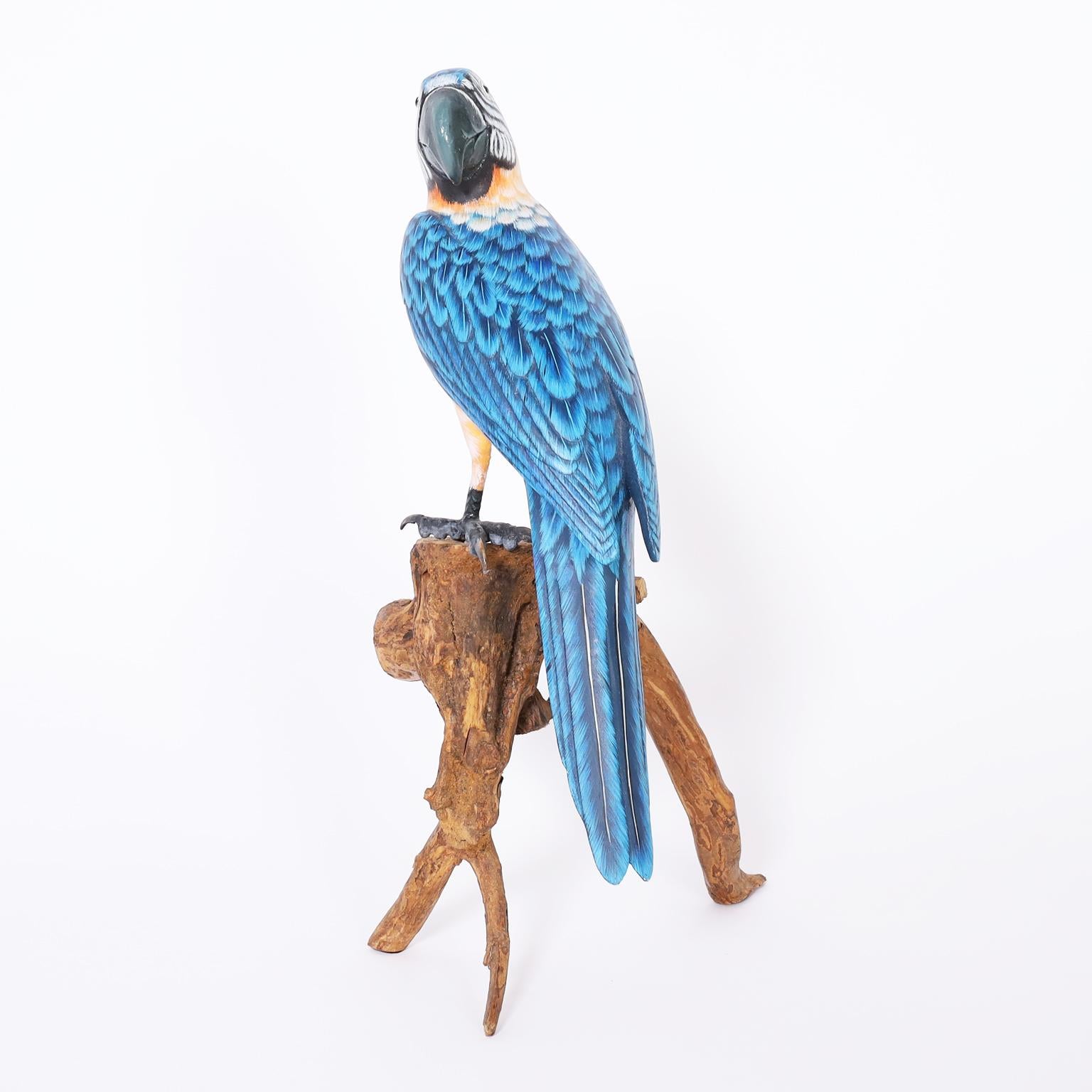 Life size, life like wood parrot expertly carved and painted with inspired accuracy, perched on an organic wood stand.