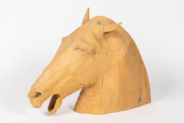 Classical Greek Carved and Sandblasted Horse Bust after the Elgin Marbles