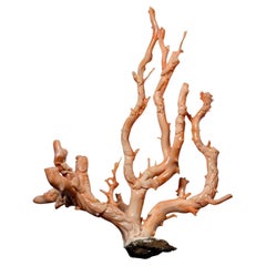 Carved Artwork Mediterranean Coral Sculpture