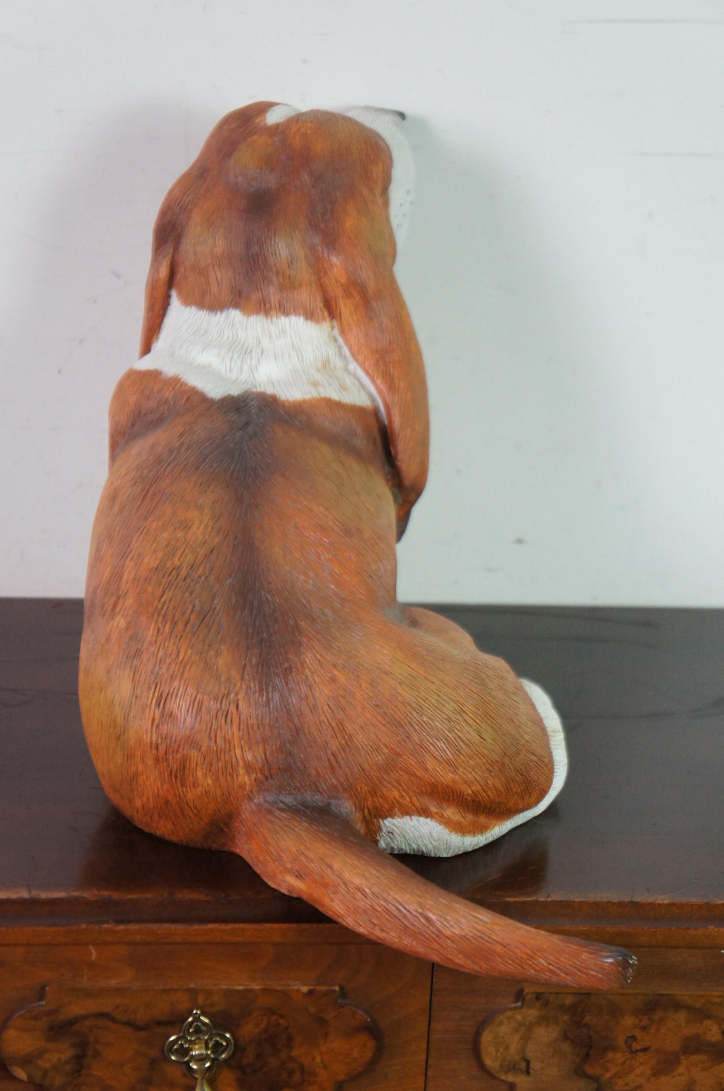 hairless basset hound