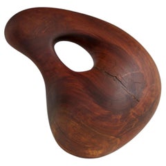 Carved bio morphic organic modern walnut sculpture