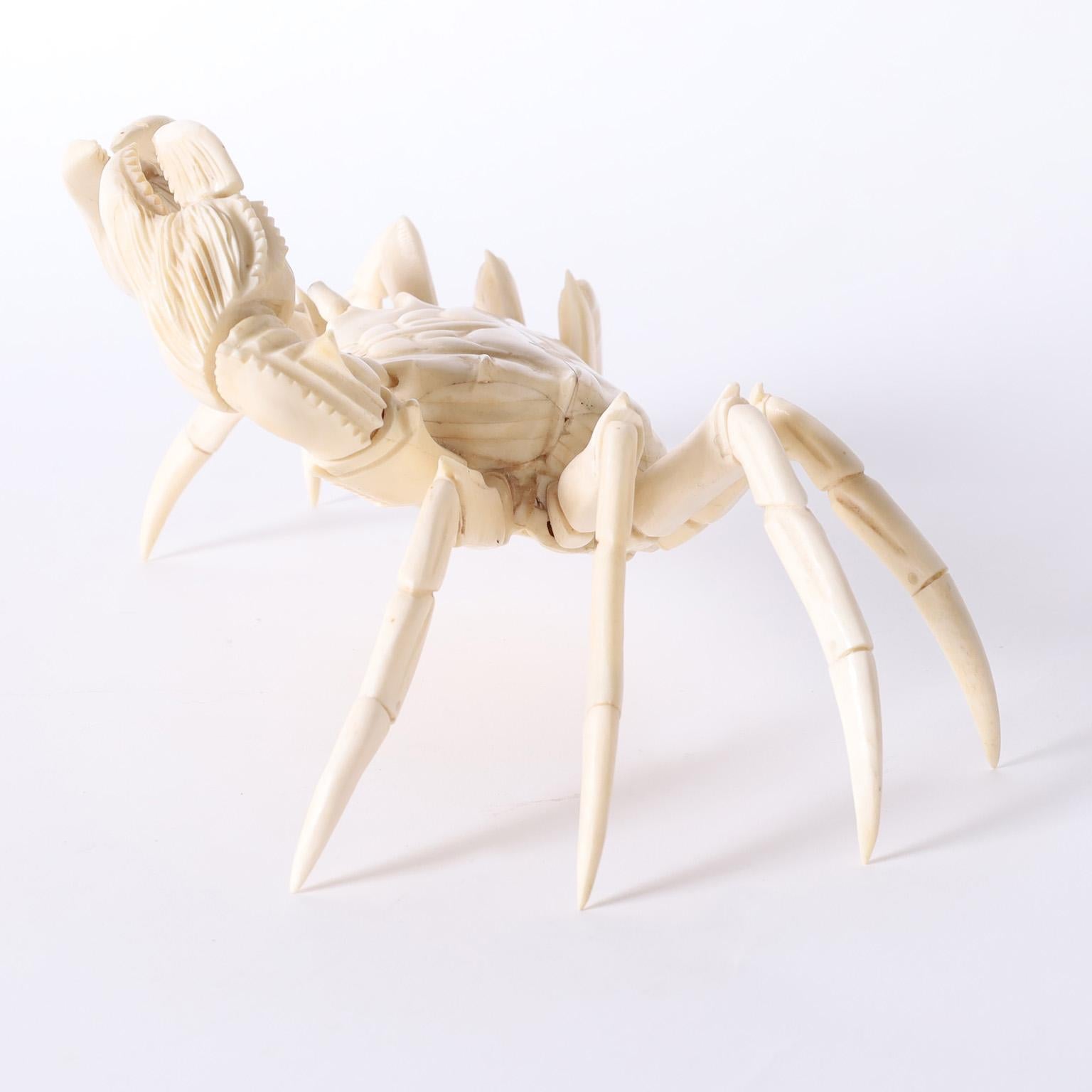 skeleton of a crab