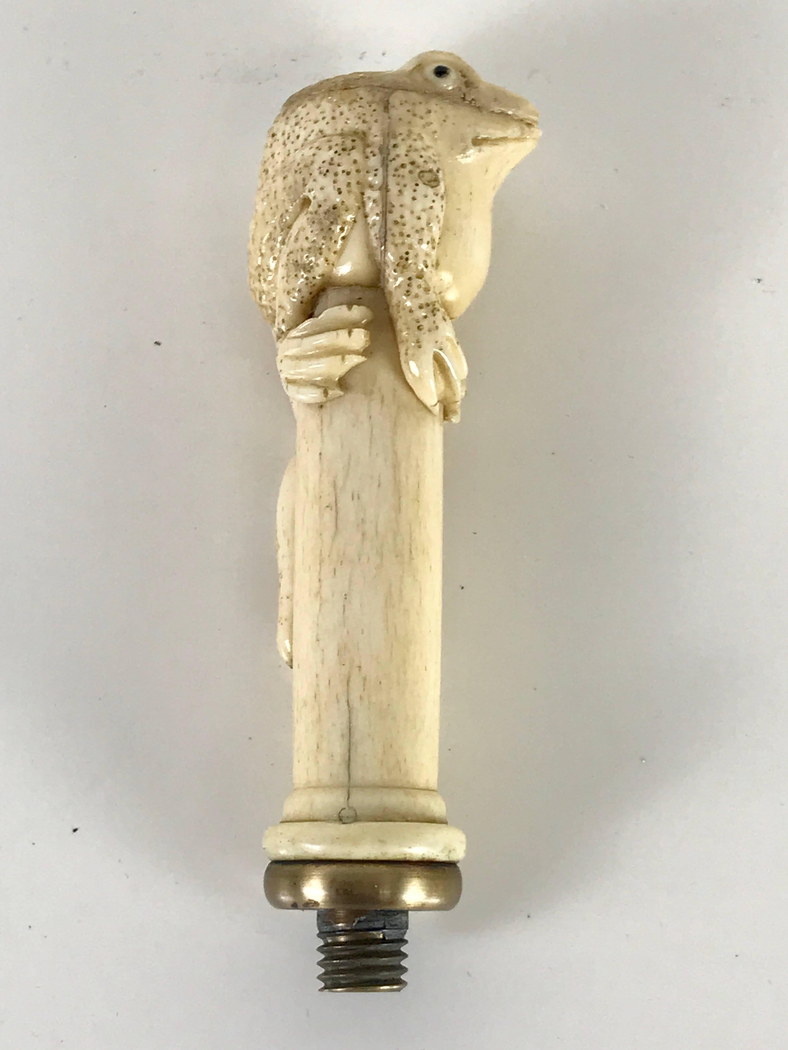 Carved Bone Frog Motif Travel Cane For Sale 8