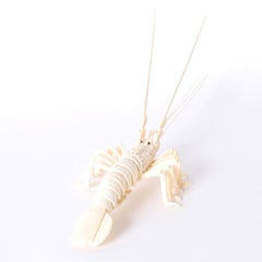 Carved Bone Lobster