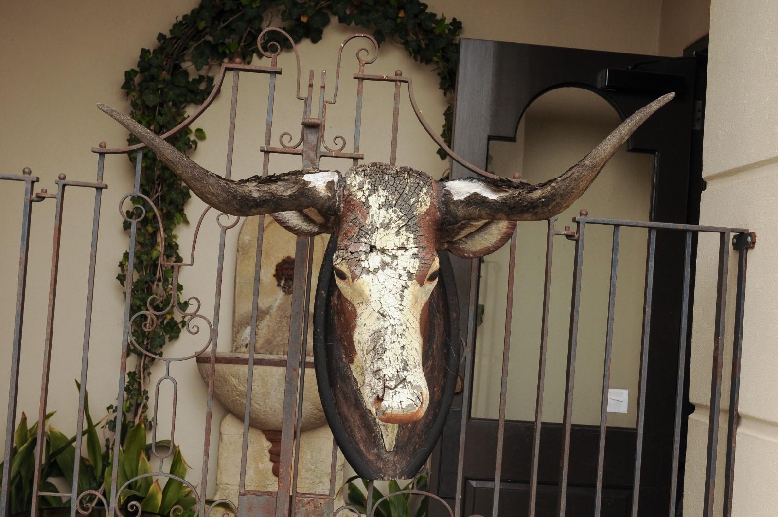 An Austrian carved bull head from the late 19th century, with weathered patina and large horns. Found in a castle in Austria, this carved bull head strikes us with its powerful presence and wonderfully aged appearance. Adorned with off-white and