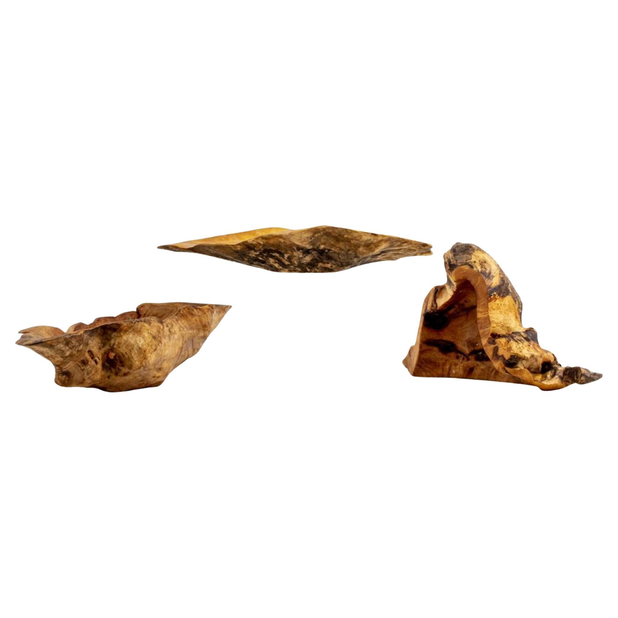 Bols ornementaux en bois de ronce sculpté, 3 pièces