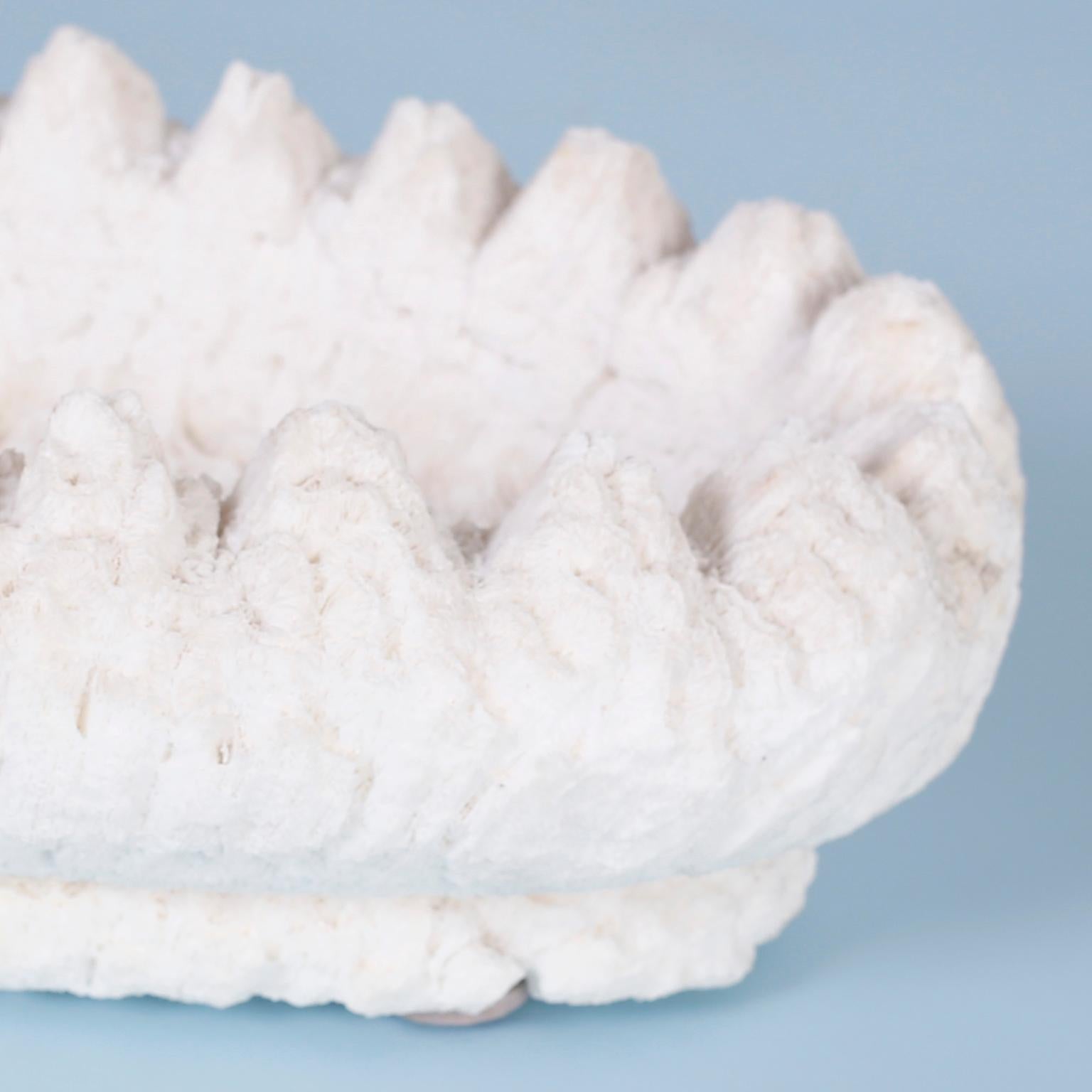 Carved Coral Bowl or Planter For Sale 1