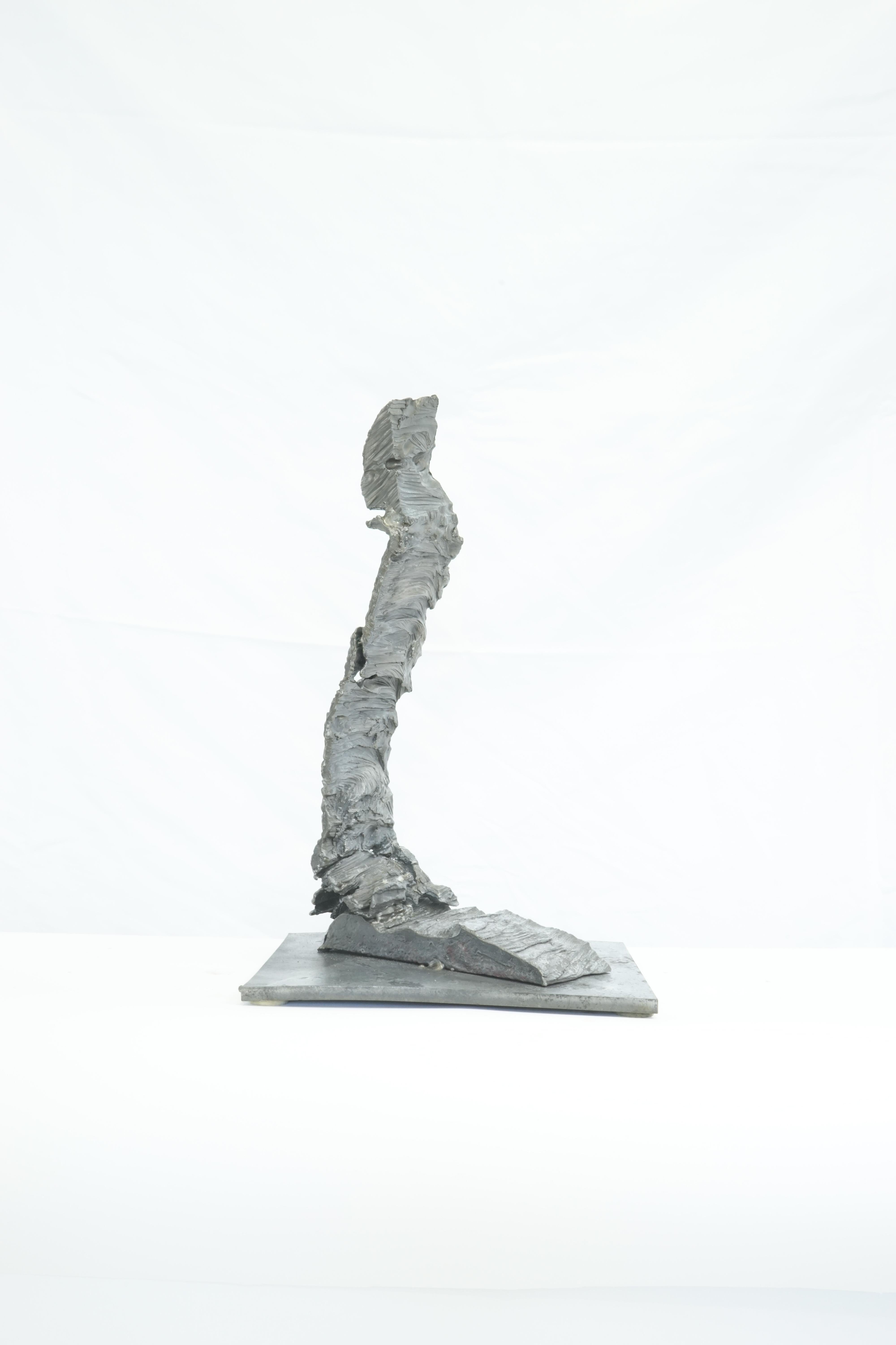 North American Carved Earth Series, 21st century, cast bronze, contemporary metal sculpture For Sale