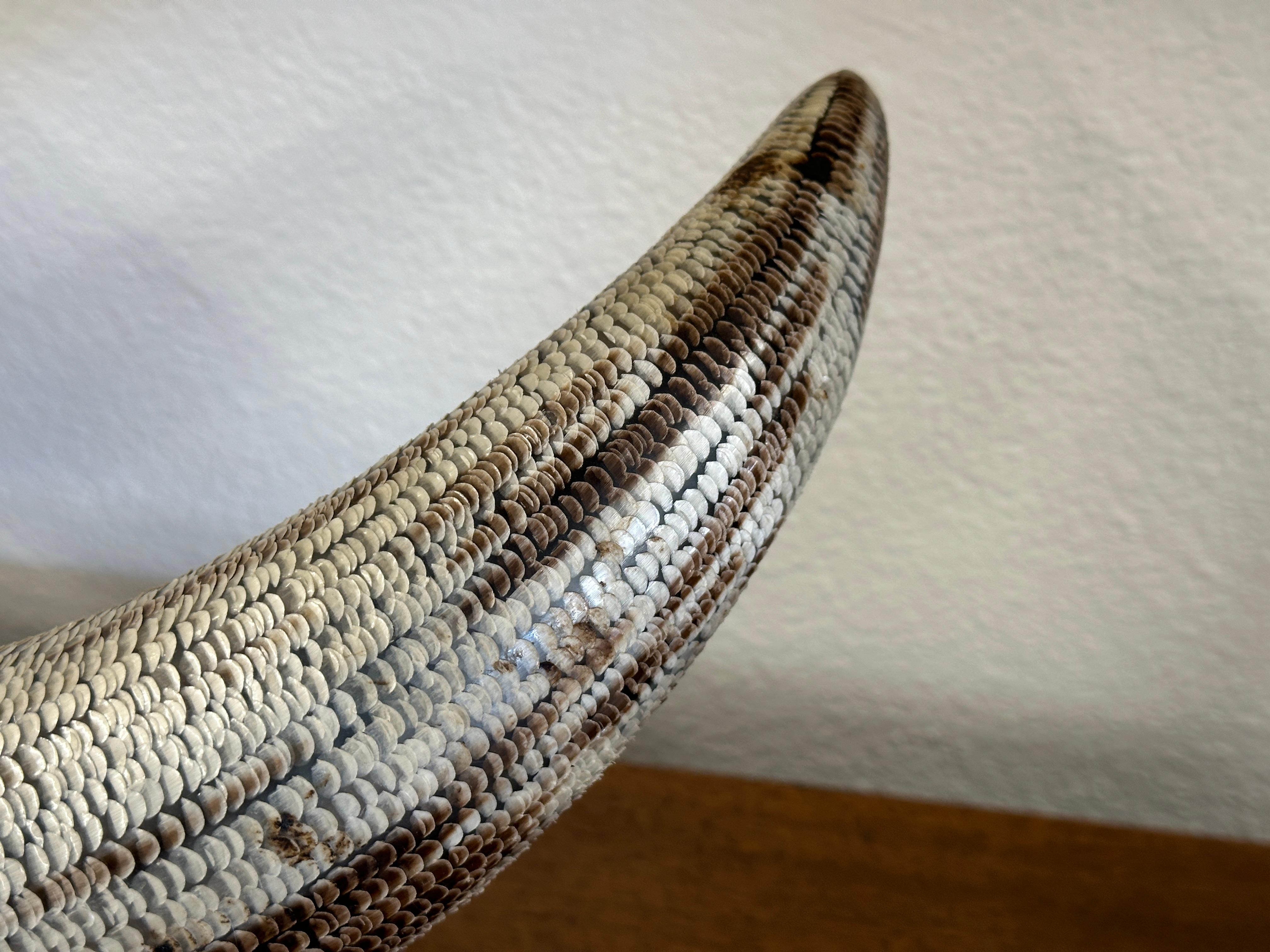 Carved Etched Horn Mounted on a Tesselated Bone Base For Sale 4