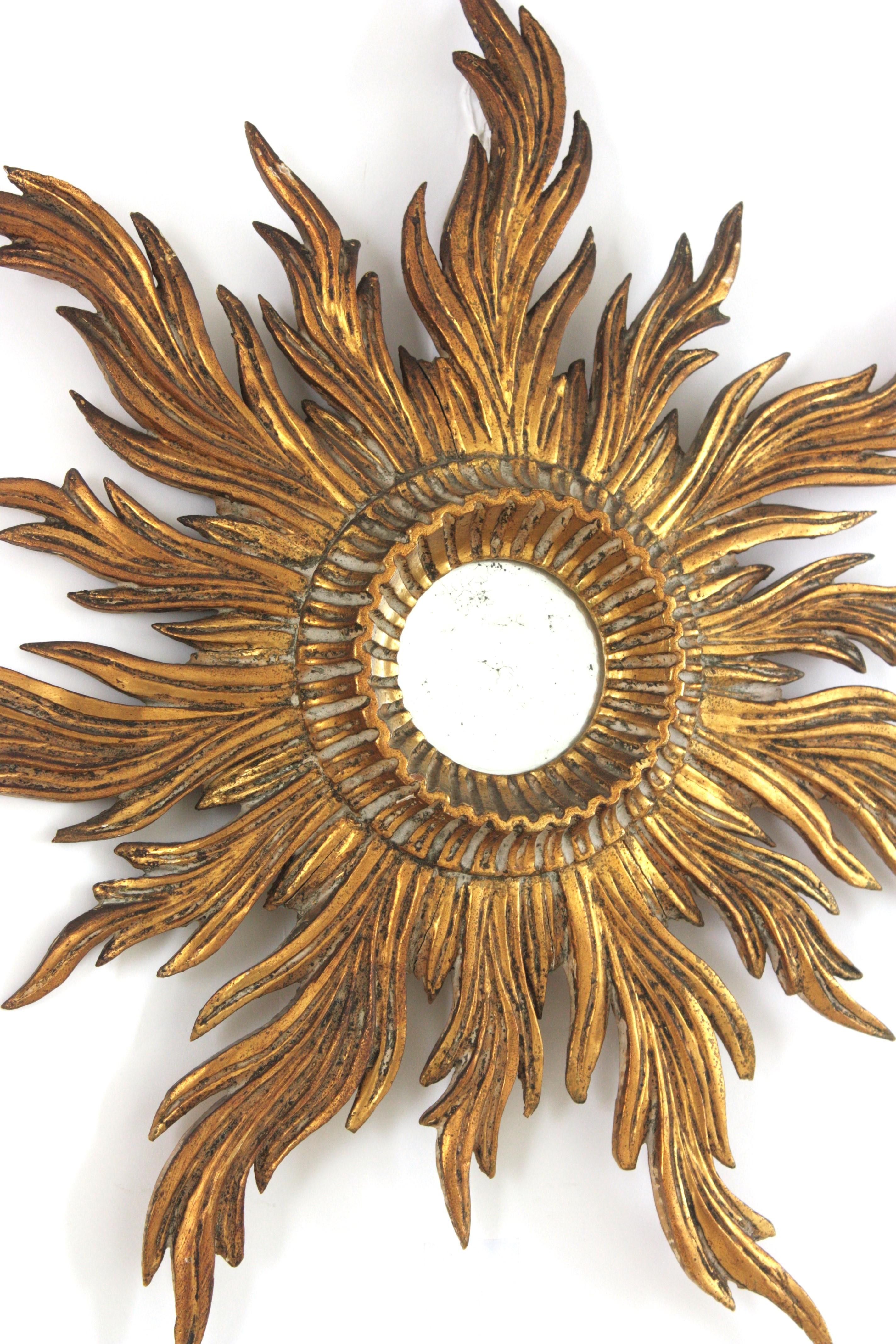 Spagnolo Specchio a raggiera in legno dorato intagliato, Hollywood Regency, Spagna, anni '40 in vendita