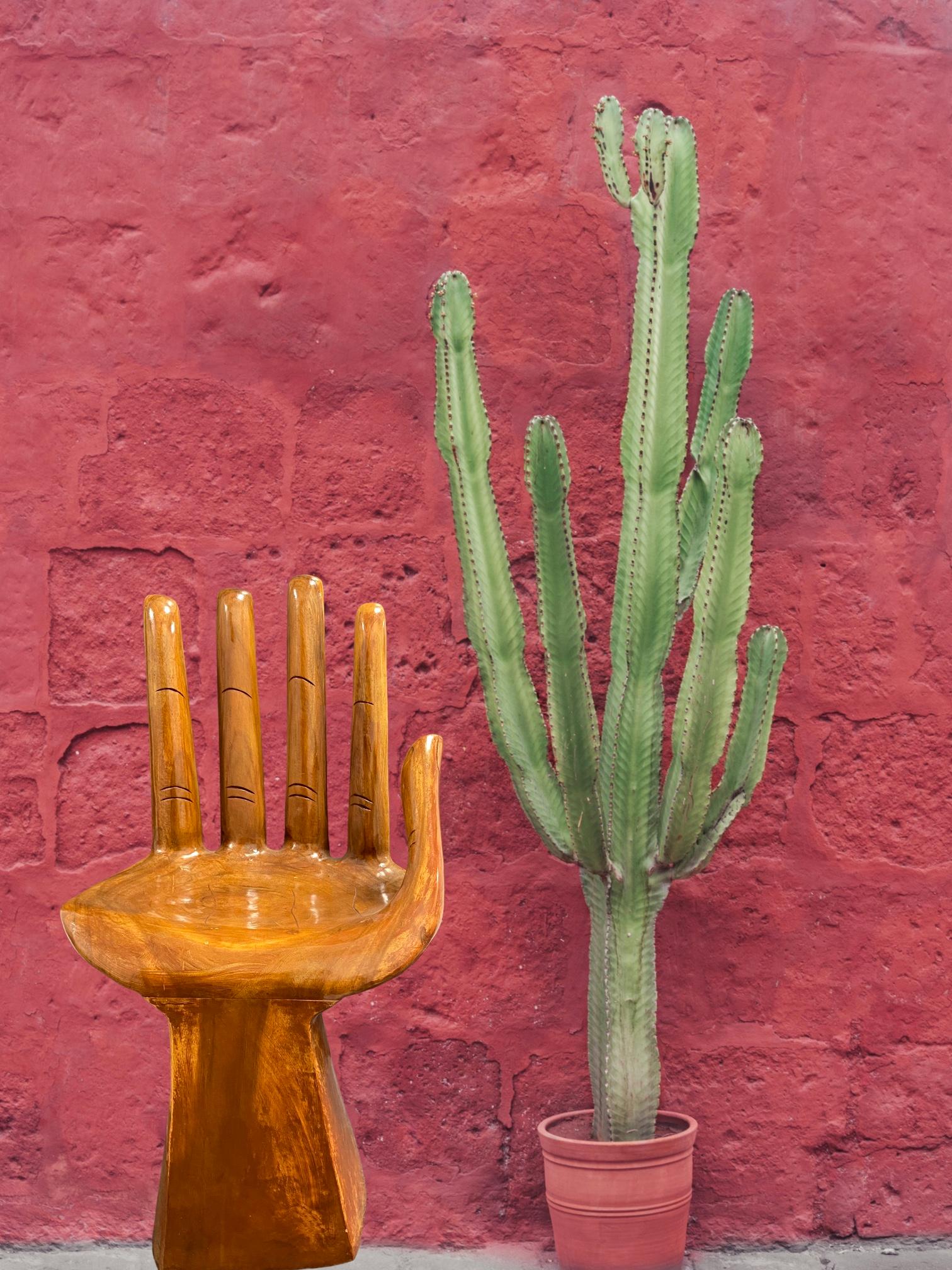 Carved Hand Chair in the Style of Pedro Friedeberg, circa 1970s 7