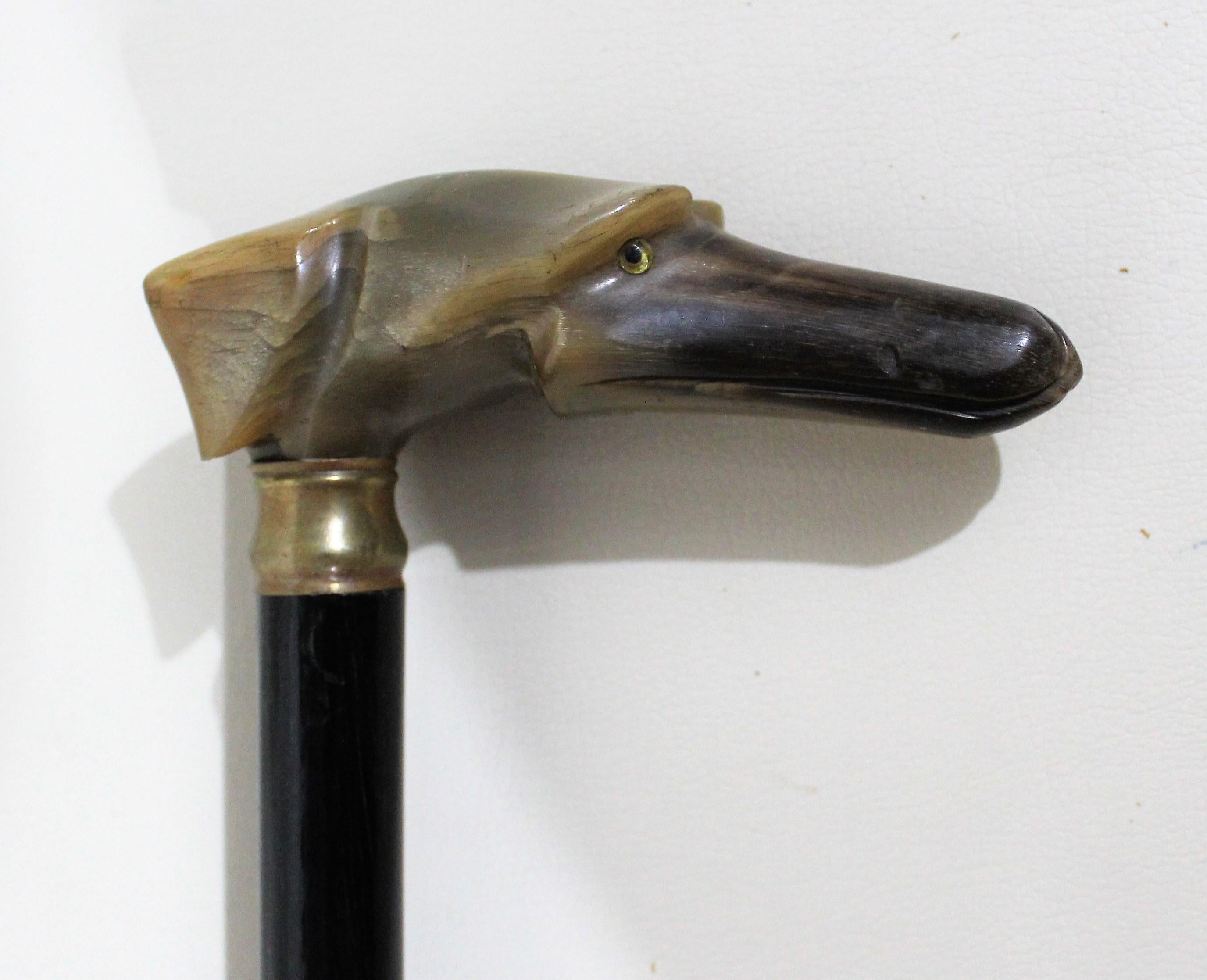 Geschnitzter Horn-Hundekopf L-Griff Spazierstock Stock mit Glas-Augen (20. Jahrhundert)