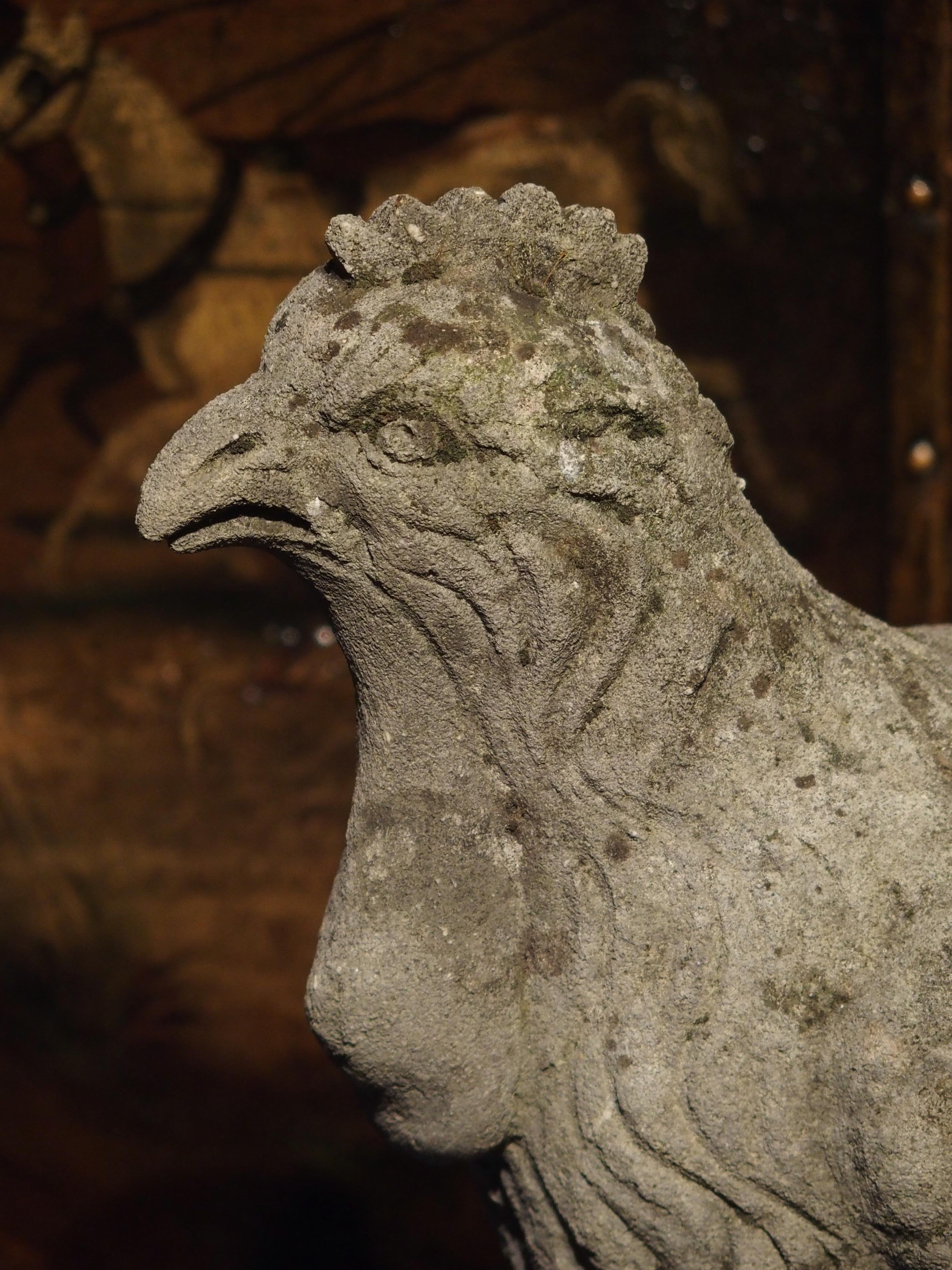 From Italy, this hand carved chicken statue will be a wonderful accessory in the garden or inside. It was carved from a single block of Northern Italian limestone. It is resting on the ground with its head and tail held high. It stands on a