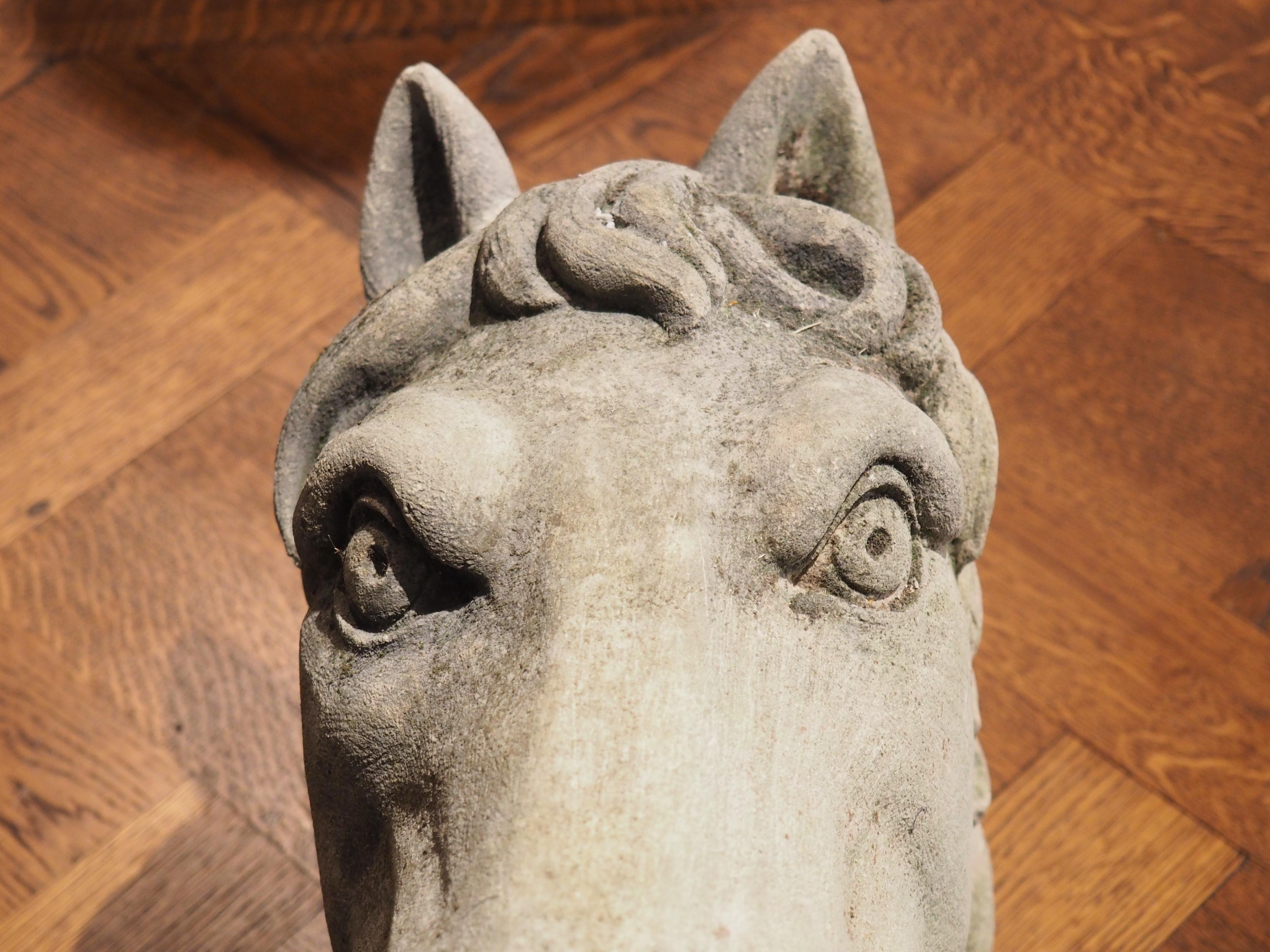 Geschnitzter Pferdekopf aus Kalkstein aus Italien im Angebot 4