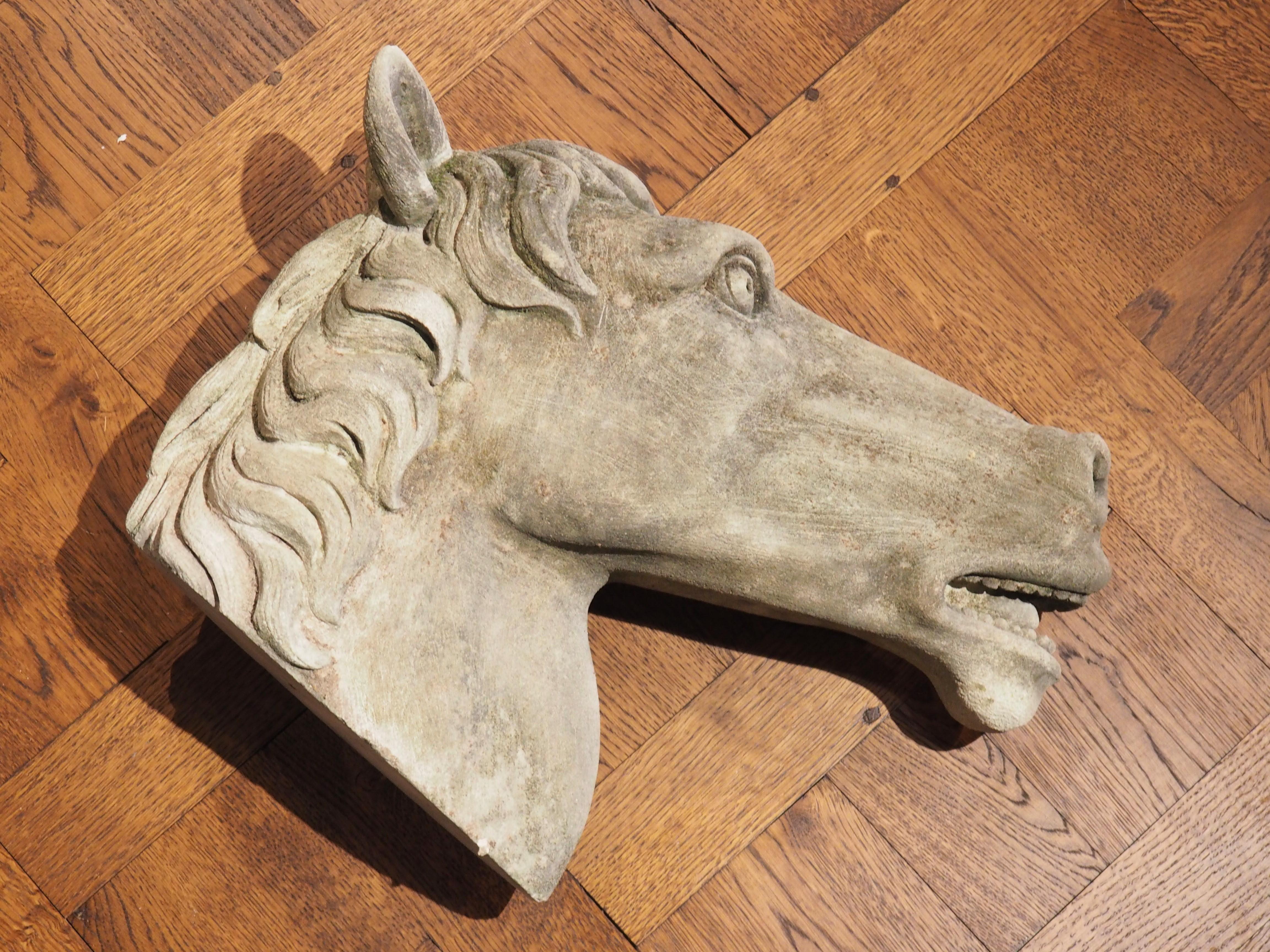 Carved Limestone Horsehead from Italy For Sale 4