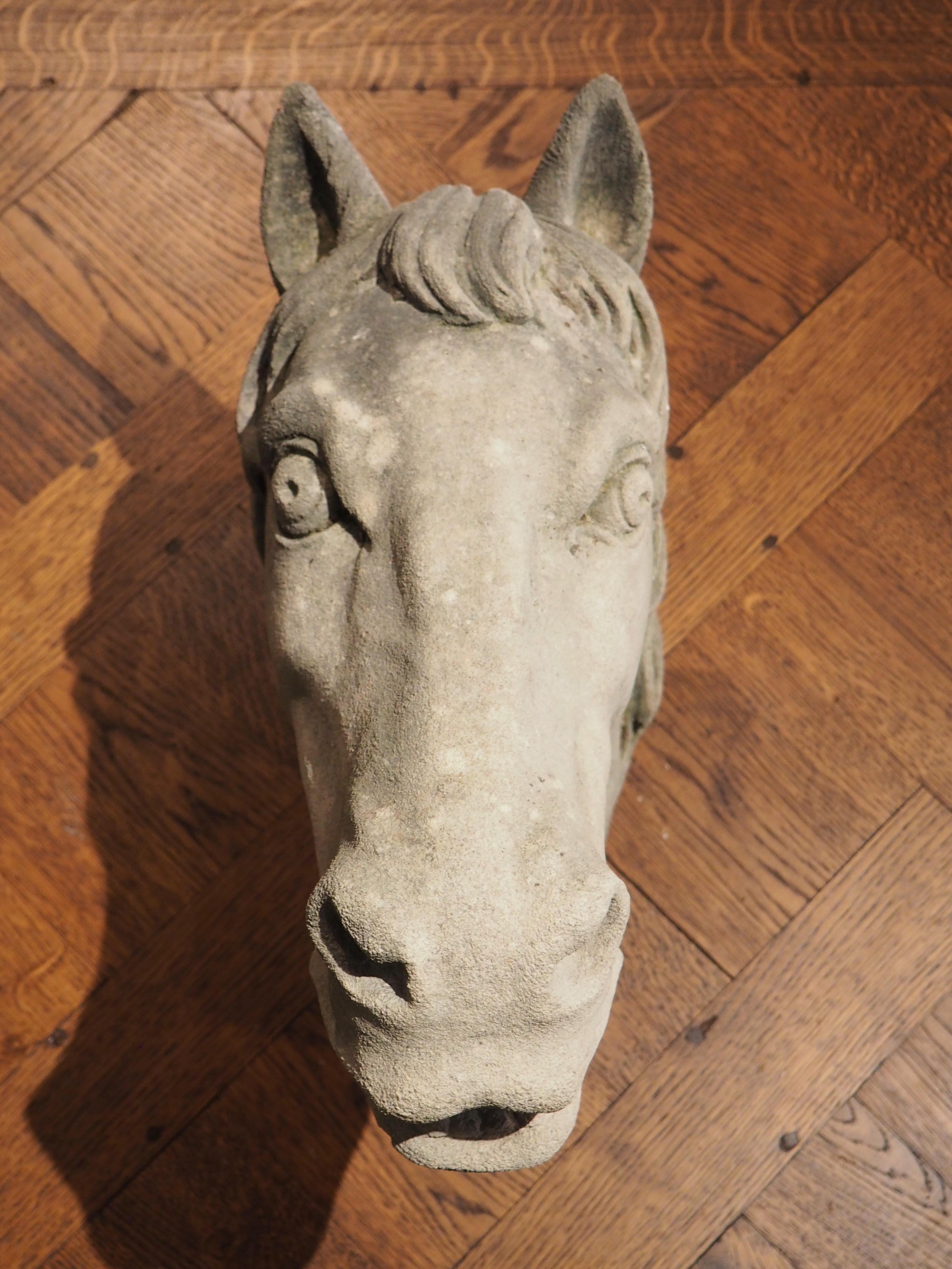 Carved Limestone Horsehead from Italy For Sale 4
