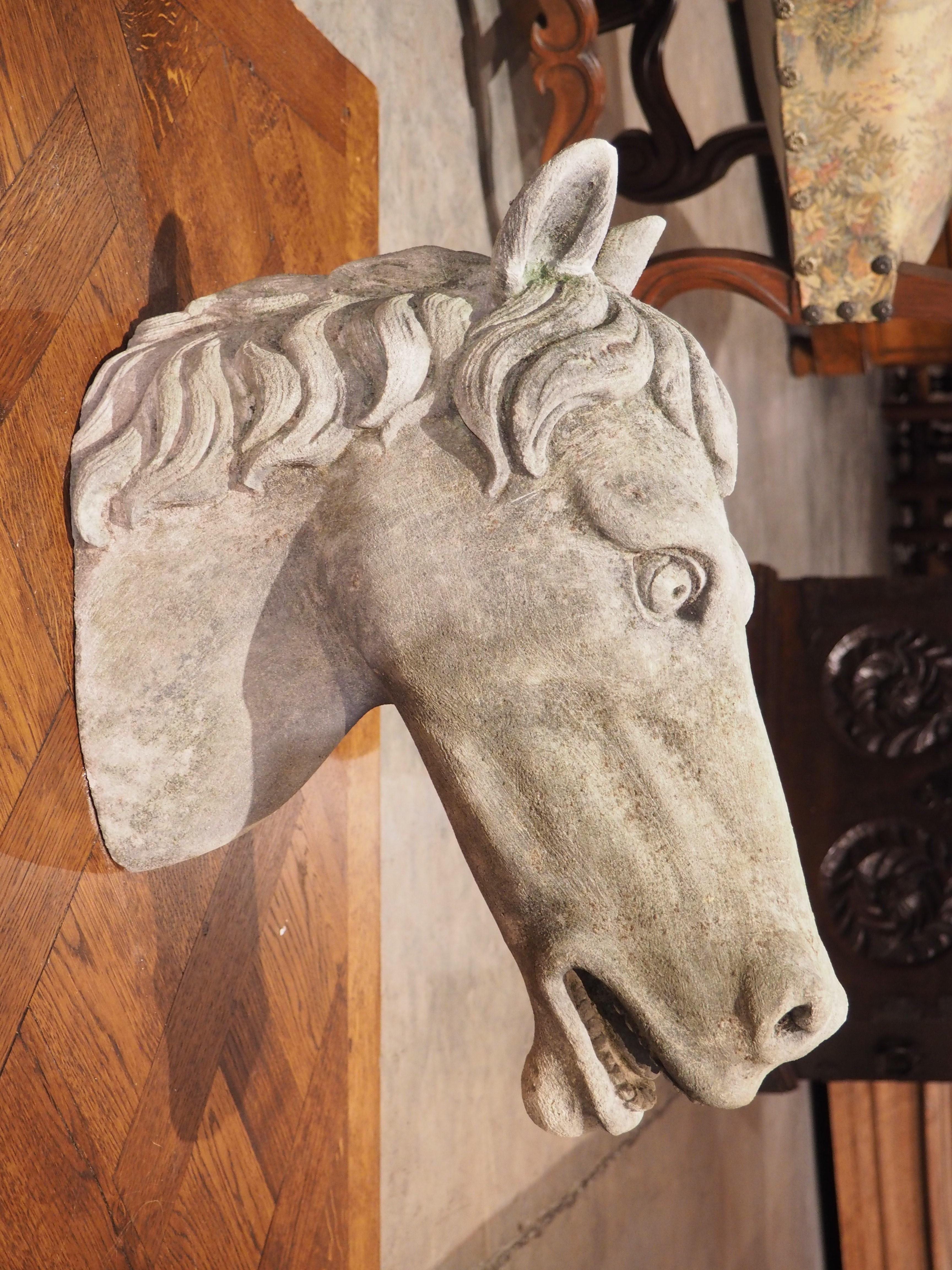 Carved Limestone Horsehead from Italy For Sale 5