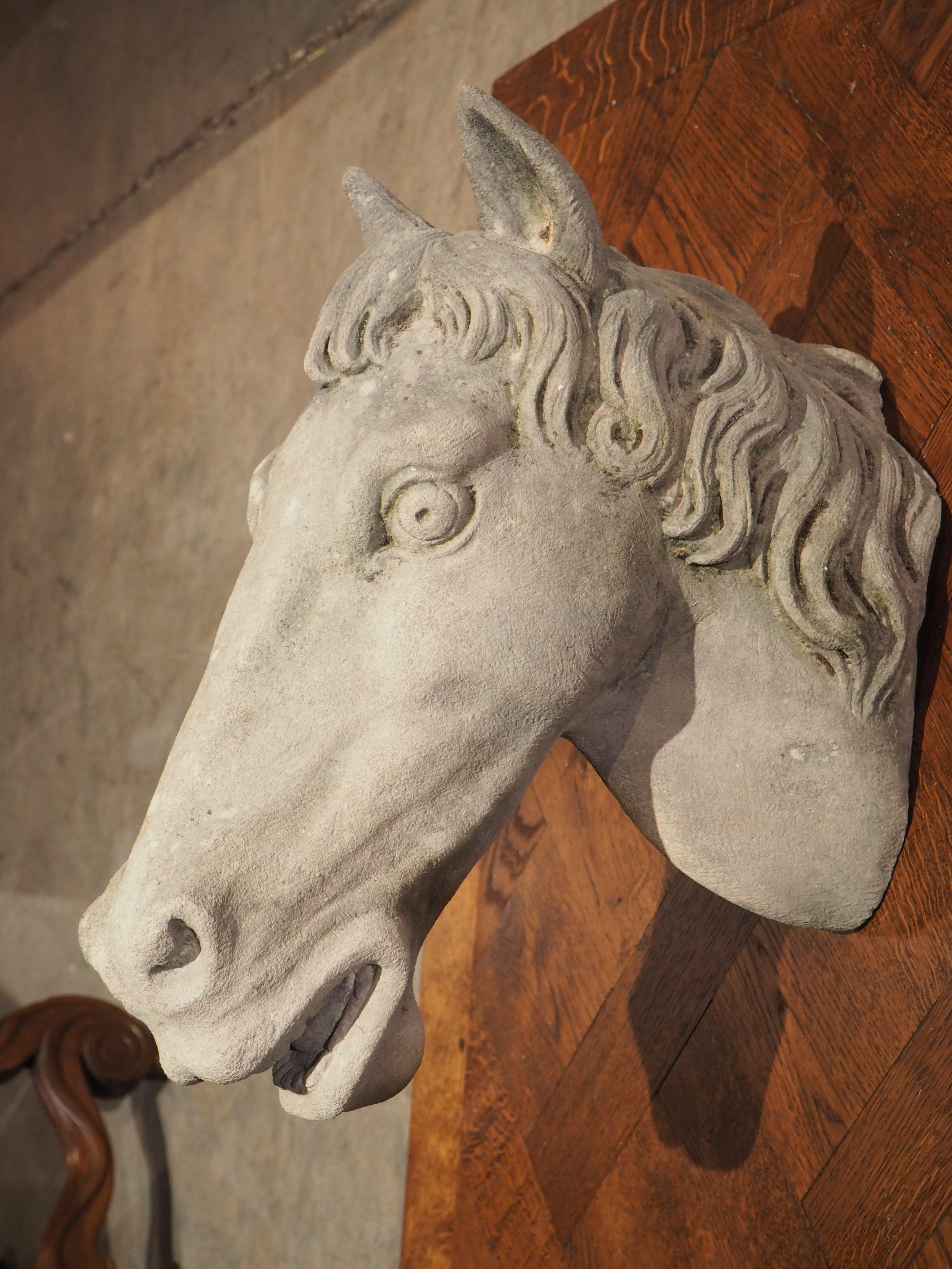 Carved Limestone Horsehead from Italy For Sale 5