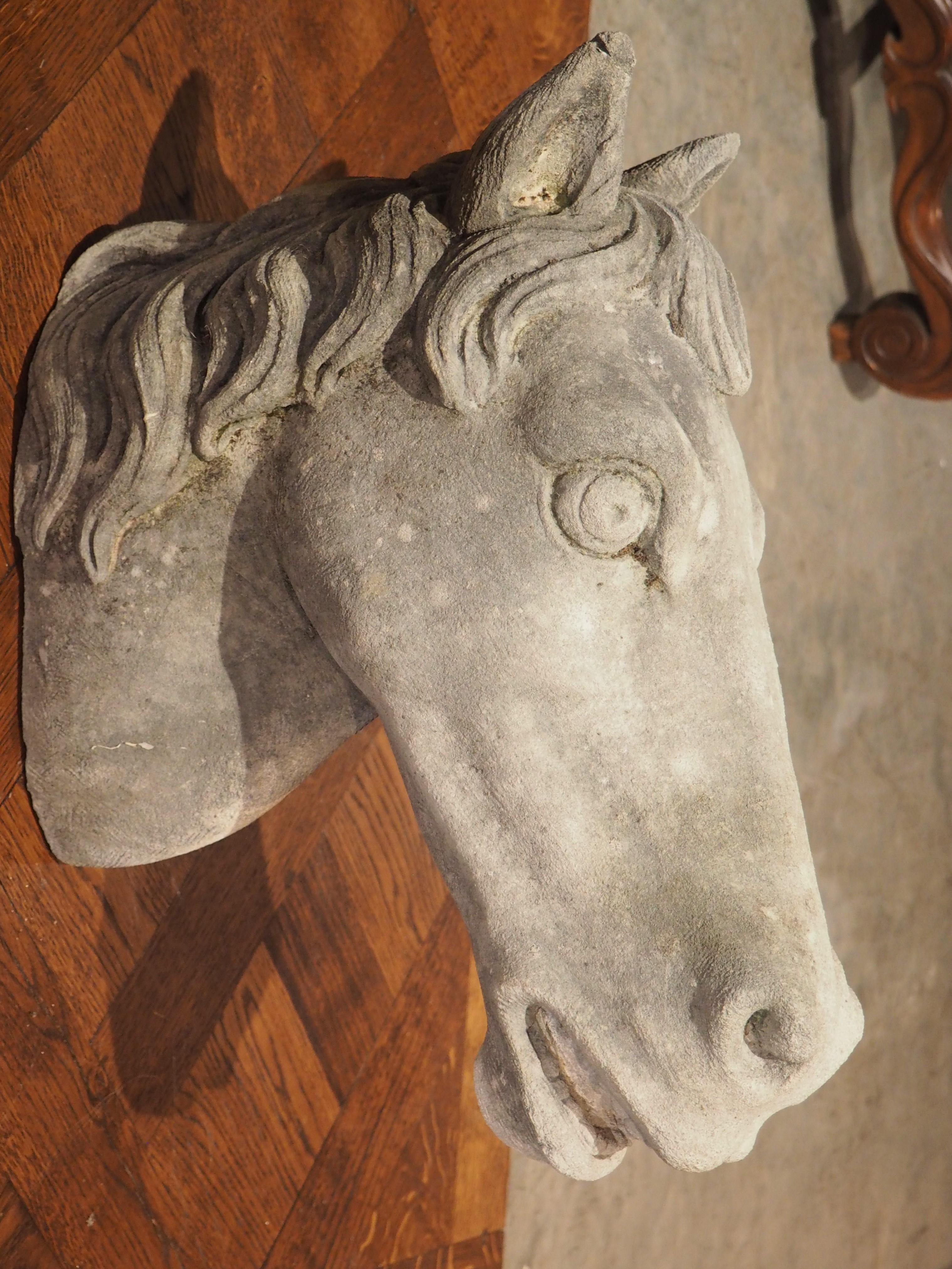 Carved Limestone Horsehead from Italy For Sale 6