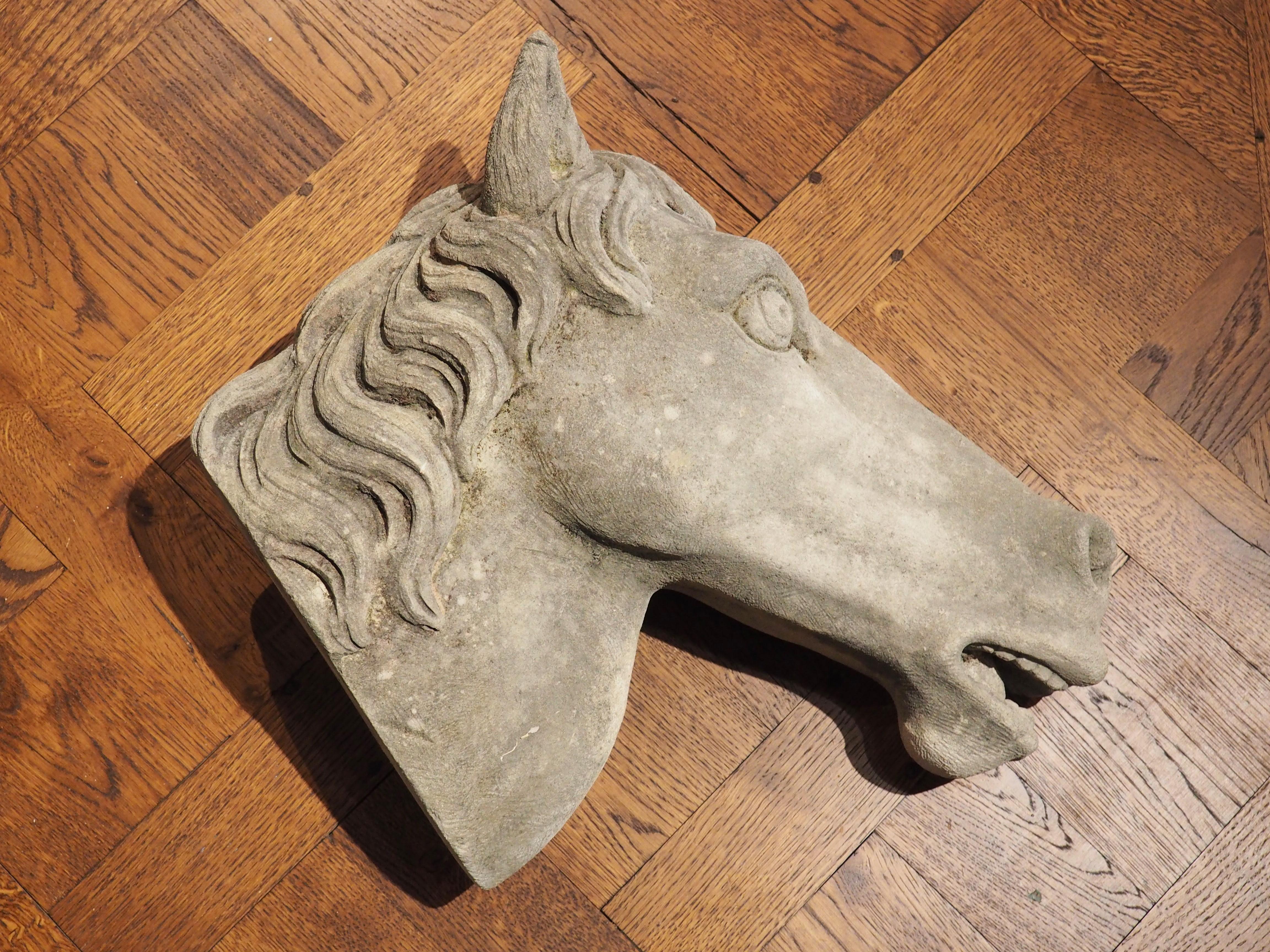 Carved Limestone Horsehead from Italy For Sale 7