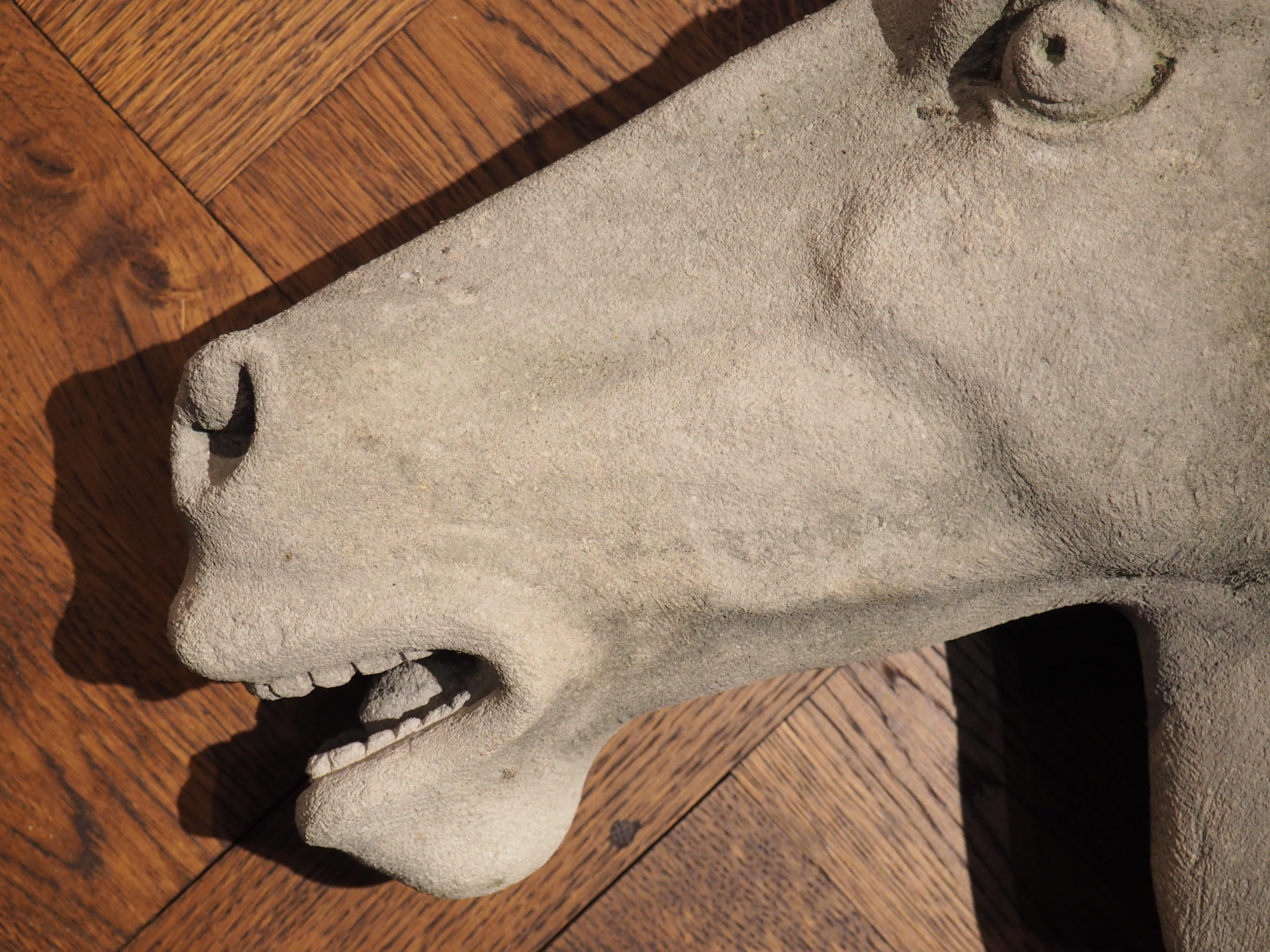 Italian Carved Limestone Horsehead from Italy For Sale