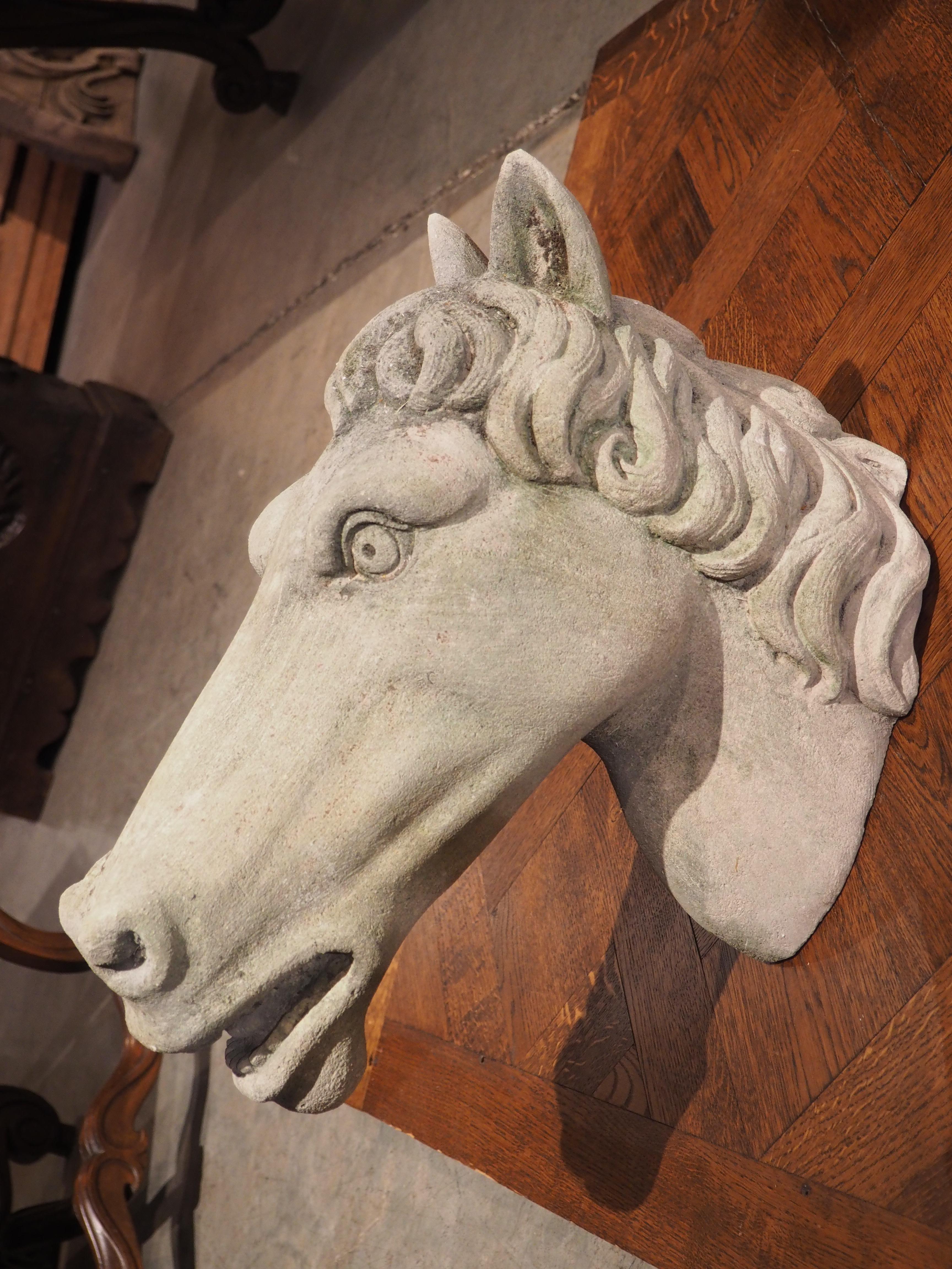 Carved Limestone Horsehead from Italy For Sale 1