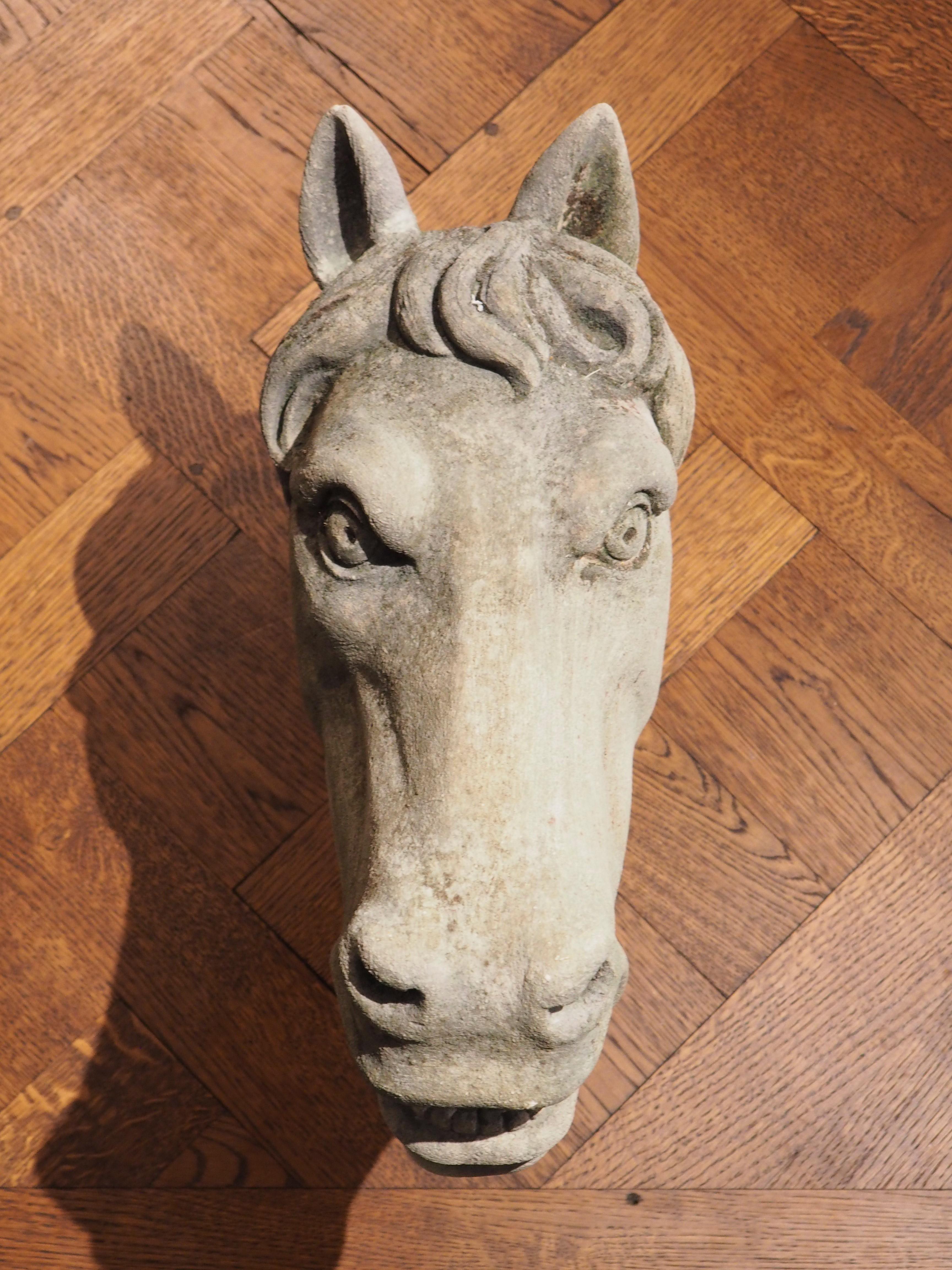Geschnitzter Pferdekopf aus Kalkstein aus Italien im Angebot 3