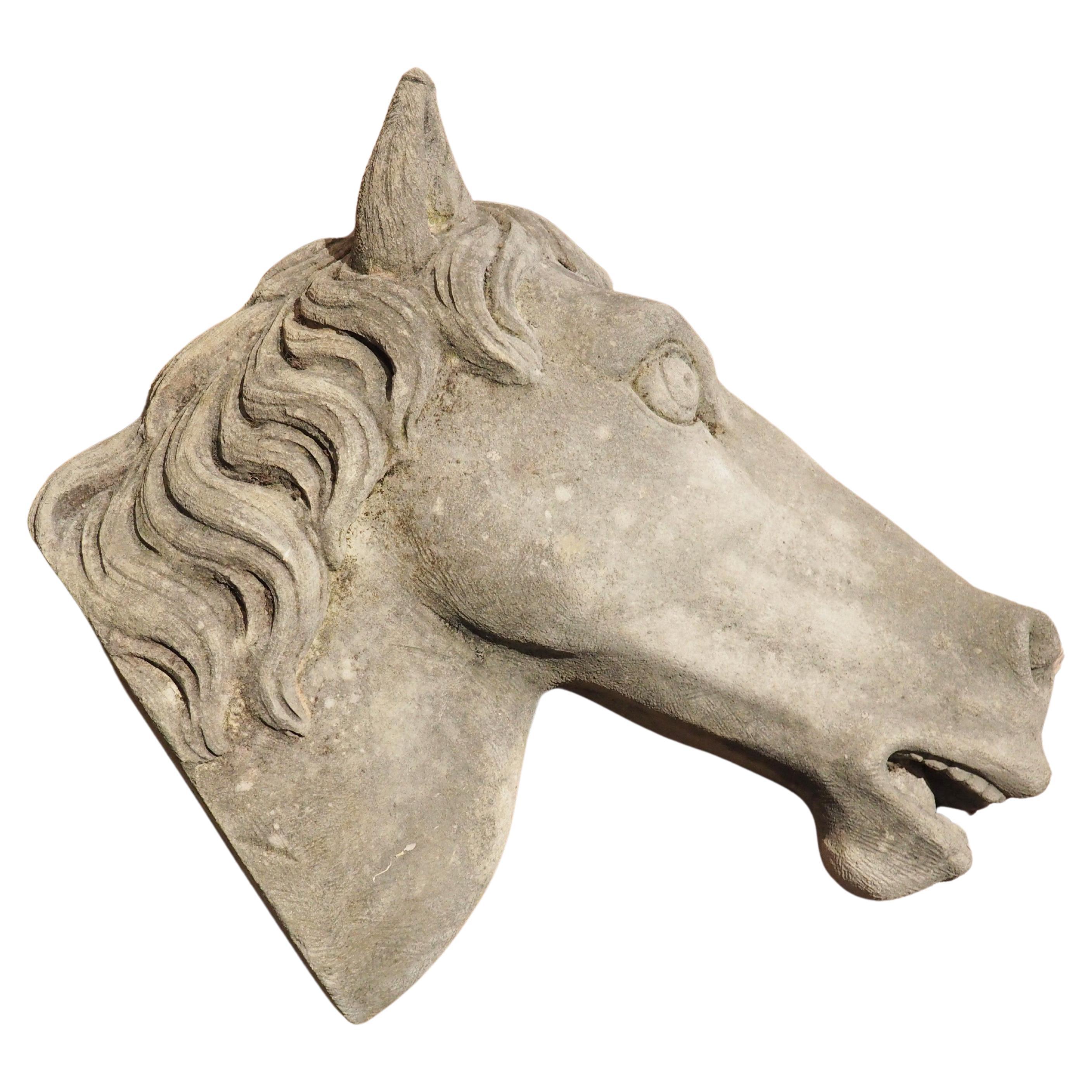 Carved Limestone Horsehead from Italy For Sale