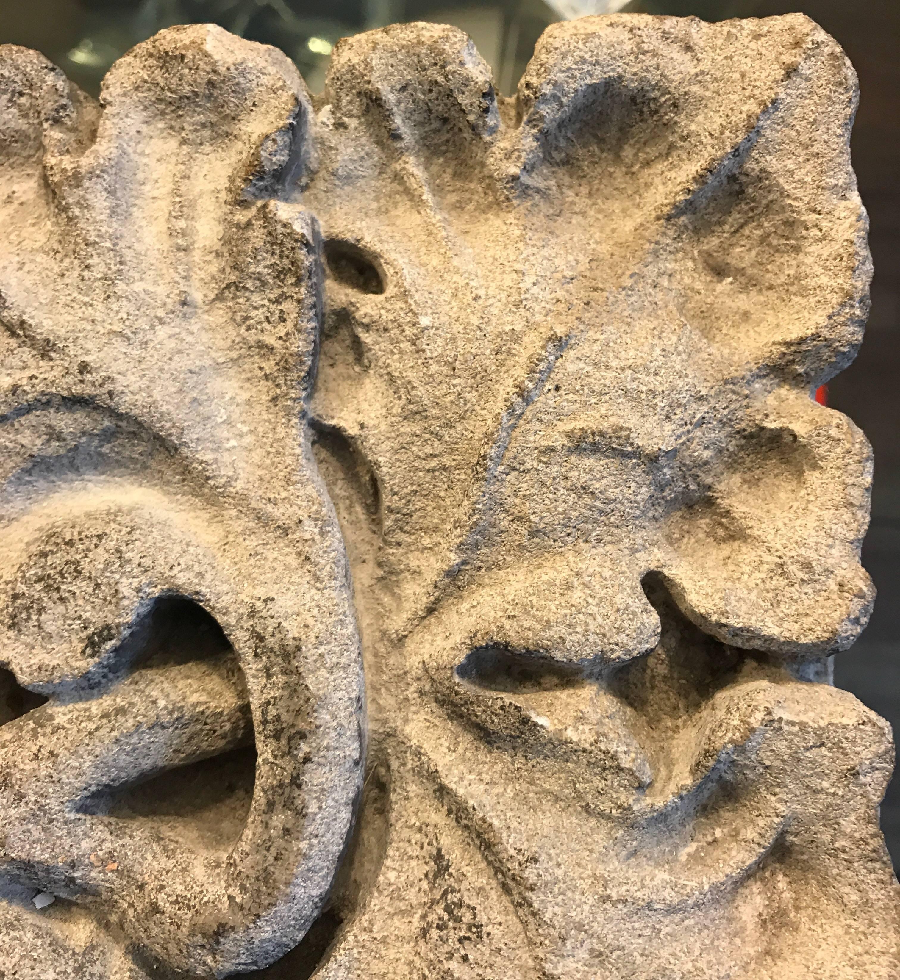 Carved Limestone Oak Leaves and Acorns Architectural Element For Sale 7