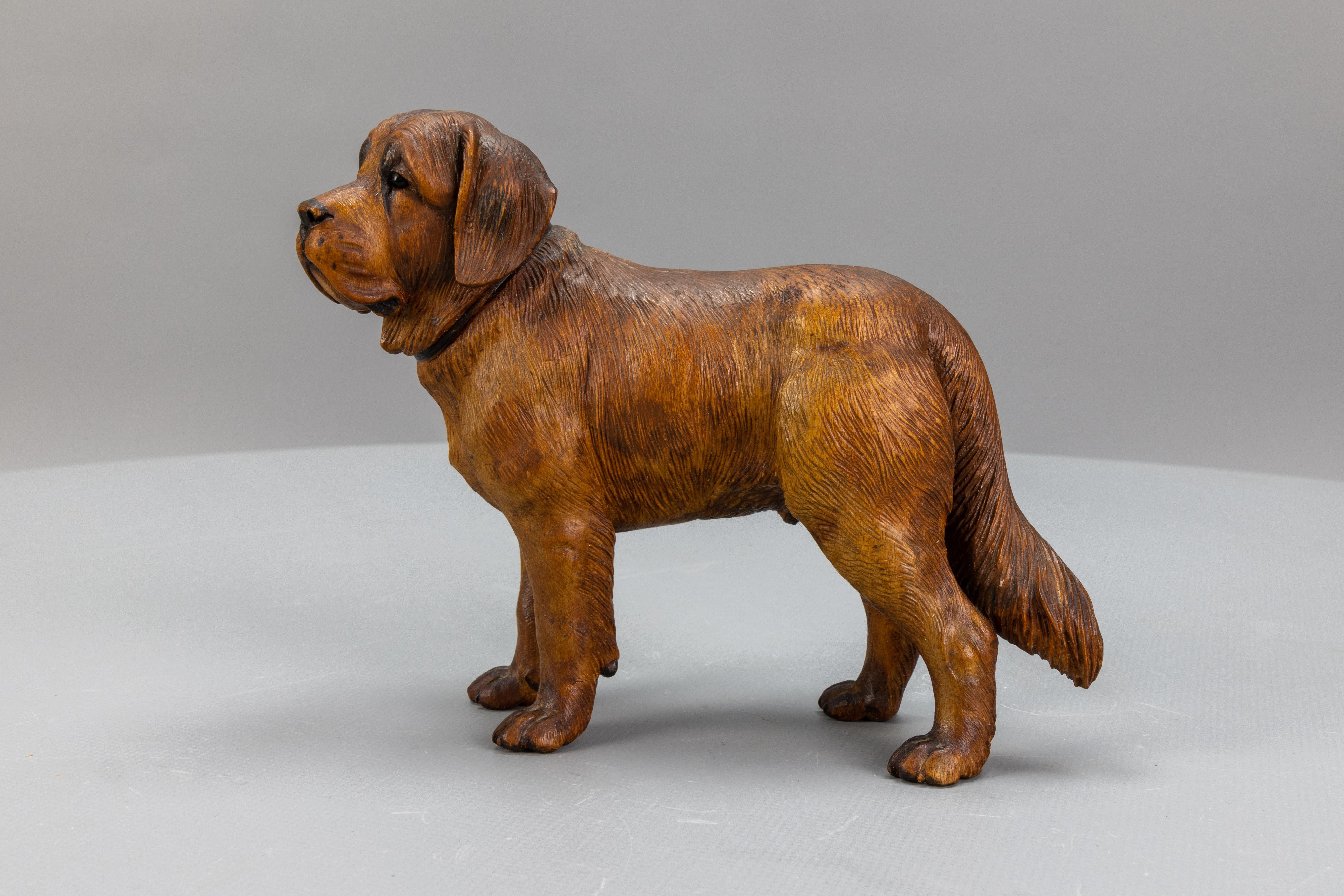 Carved Linden Wood Sculpture of a St. Bernard Dog 5