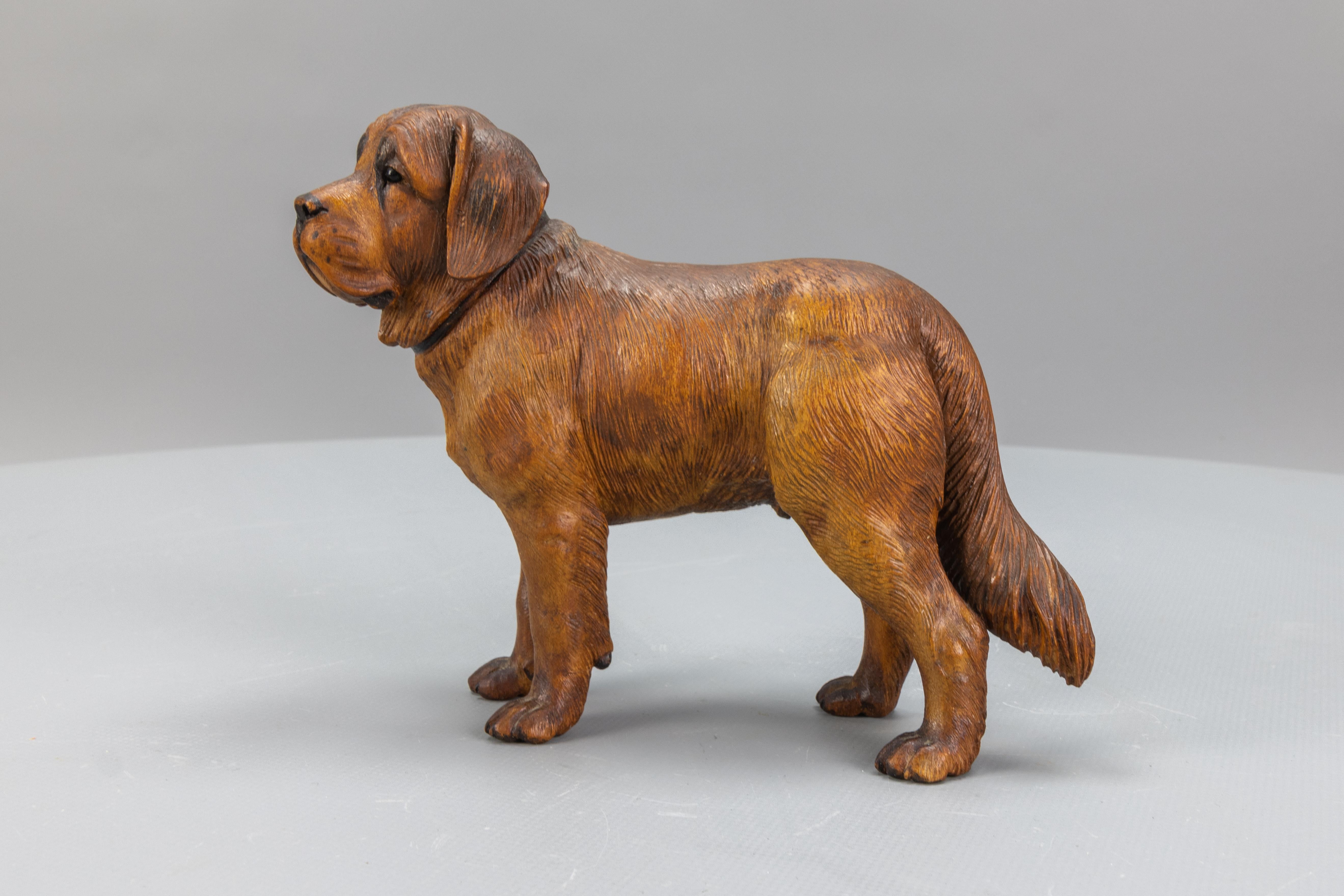 Carved Linden Wood Sculpture of a St. Bernard Dog 6