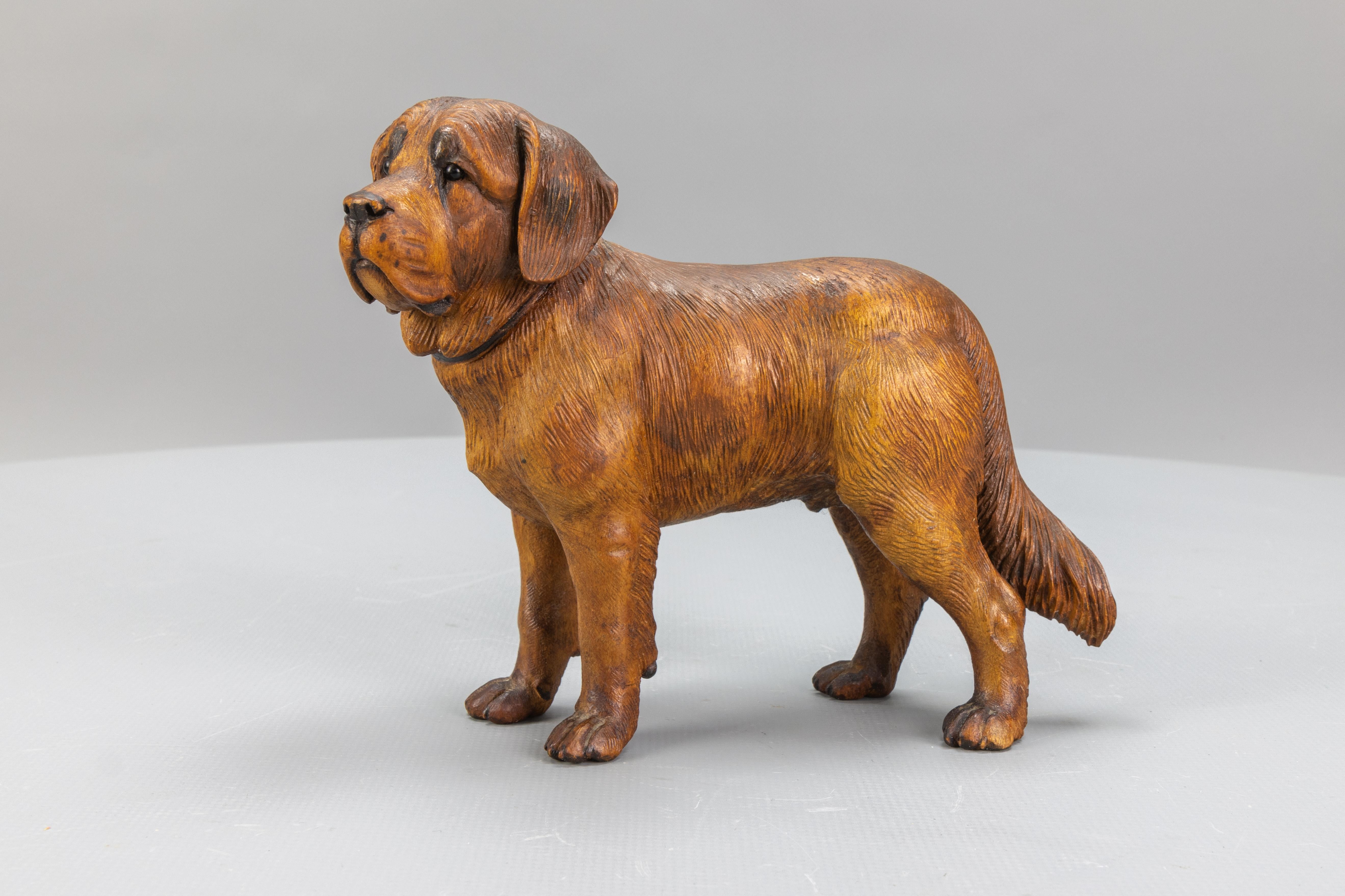 Carved Linden Wood Sculpture of a St. Bernard Dog 7