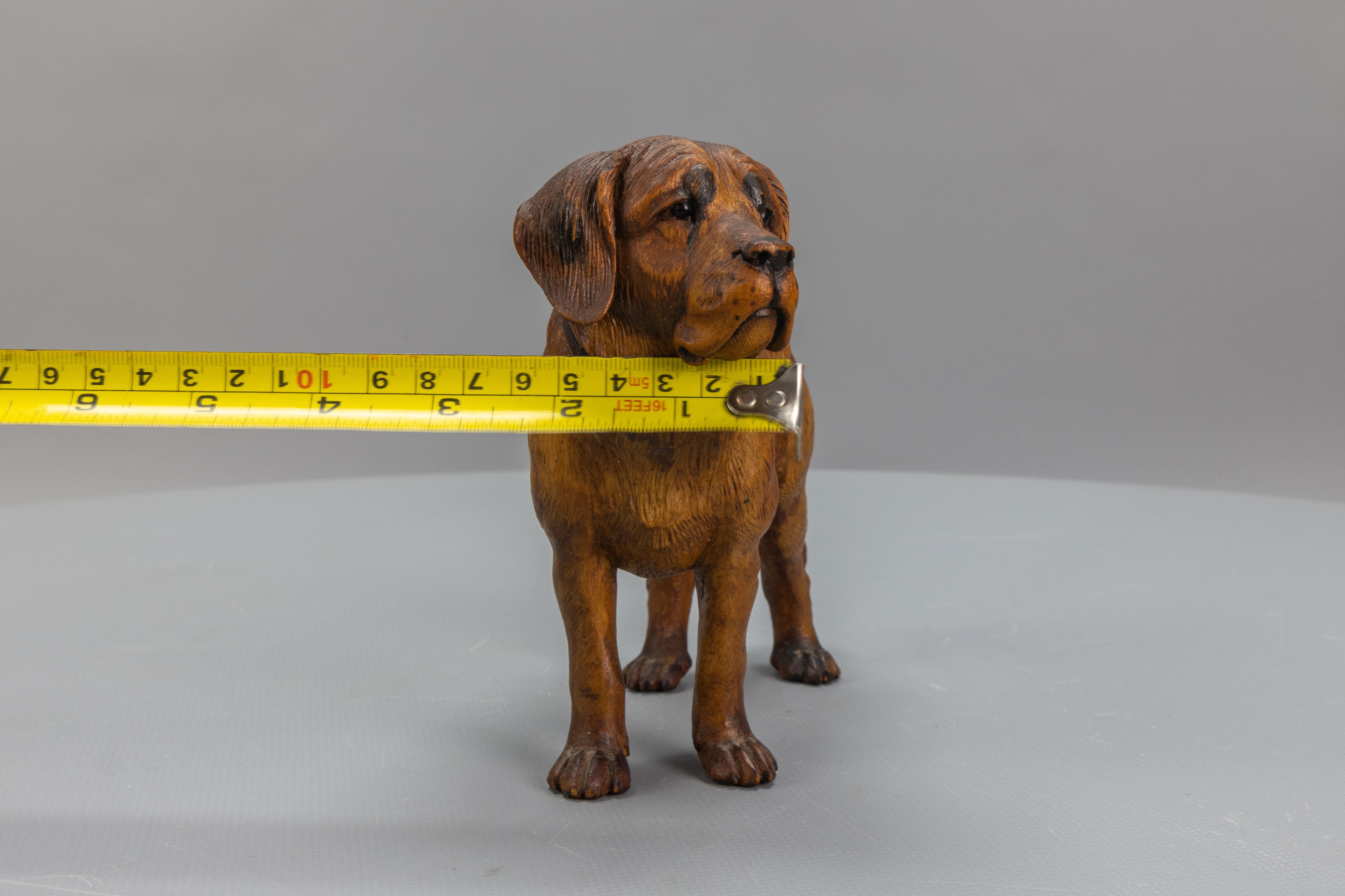 Carved Linden Wood Sculpture of a St. Bernard Dog 12
