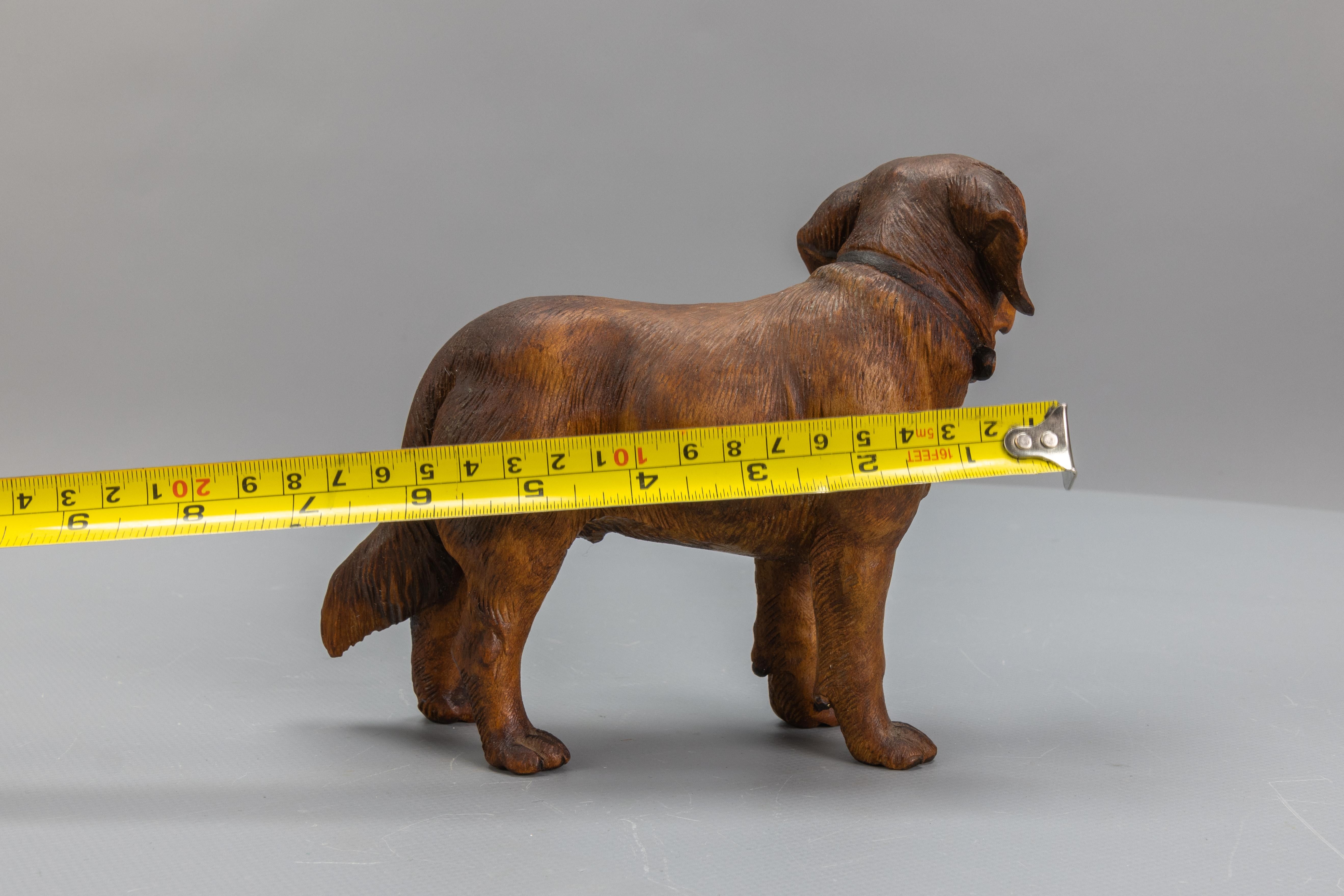 Carved Linden Wood Sculpture of a St. Bernard Dog 13