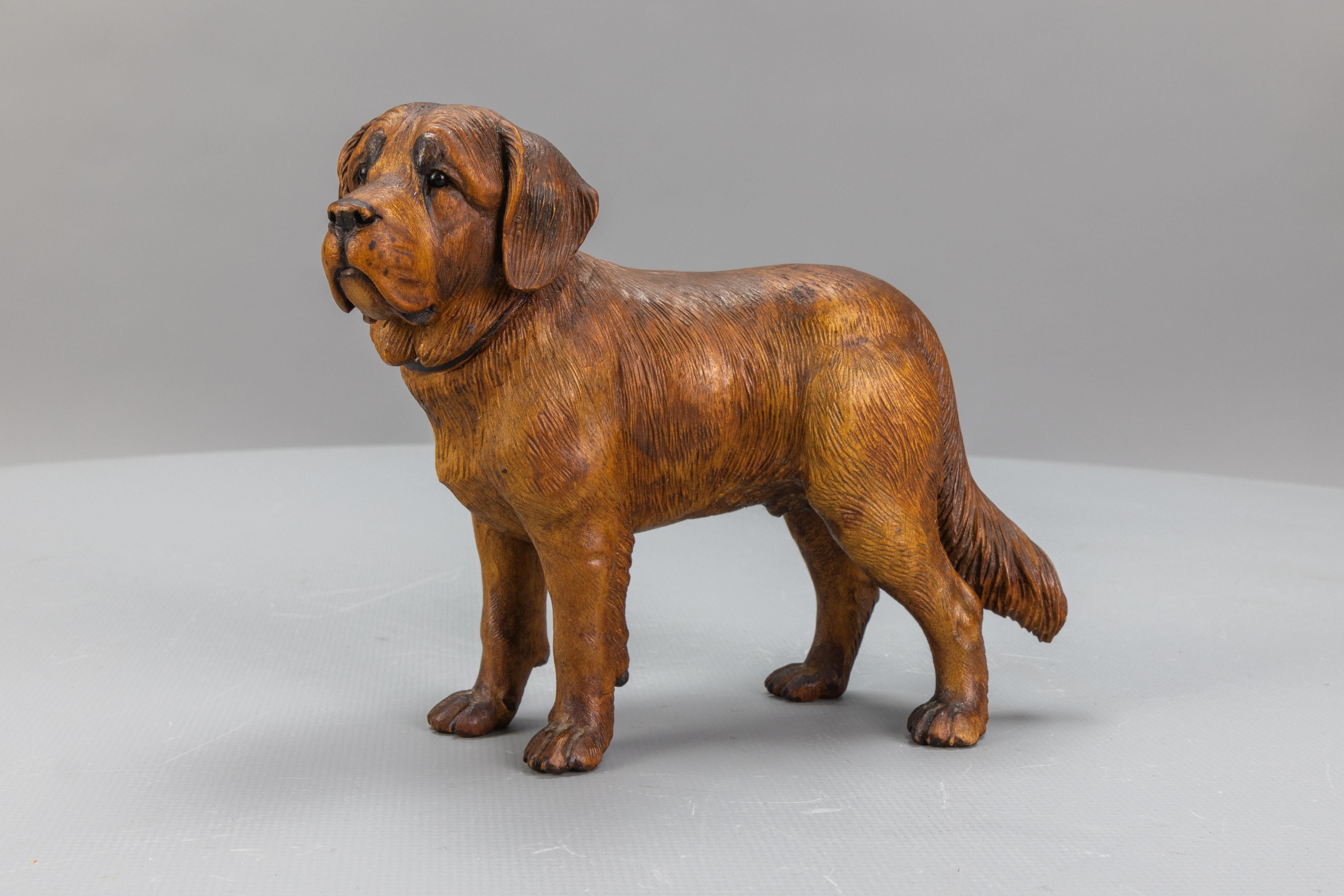 A charming linden wood carving of a standing Saint Bernard Dog from circa the 1930s.
Beautiful and life-like carving and coloration in light and dark brown tones.
In good condition with some signs of aging.
Dimensions: height: circa 15 cm / 5.9 in;
