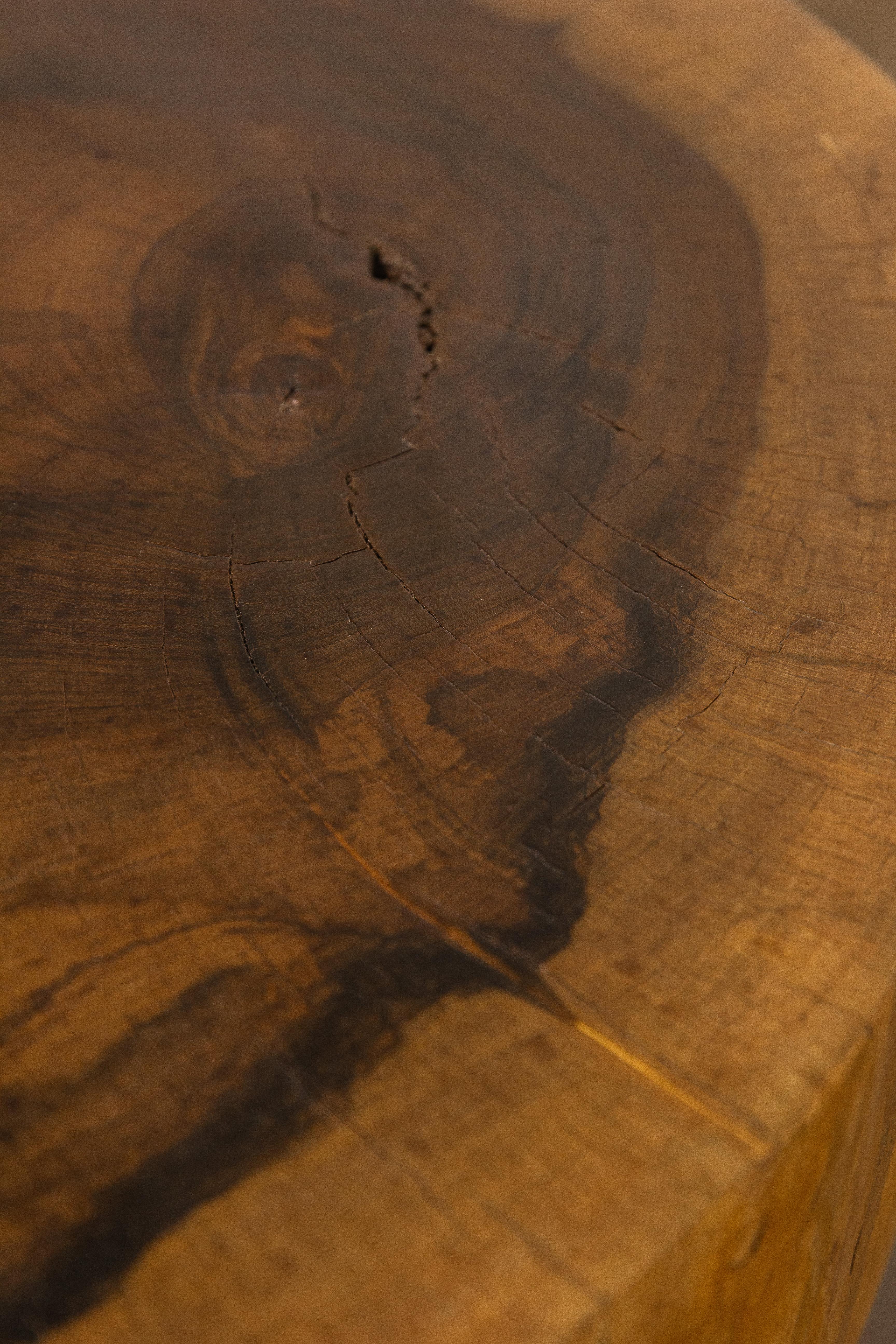 Carved Live Edge Solid Wood Trunk Table ƒ33 by Costantini, Francisco, in Stock For Sale 5