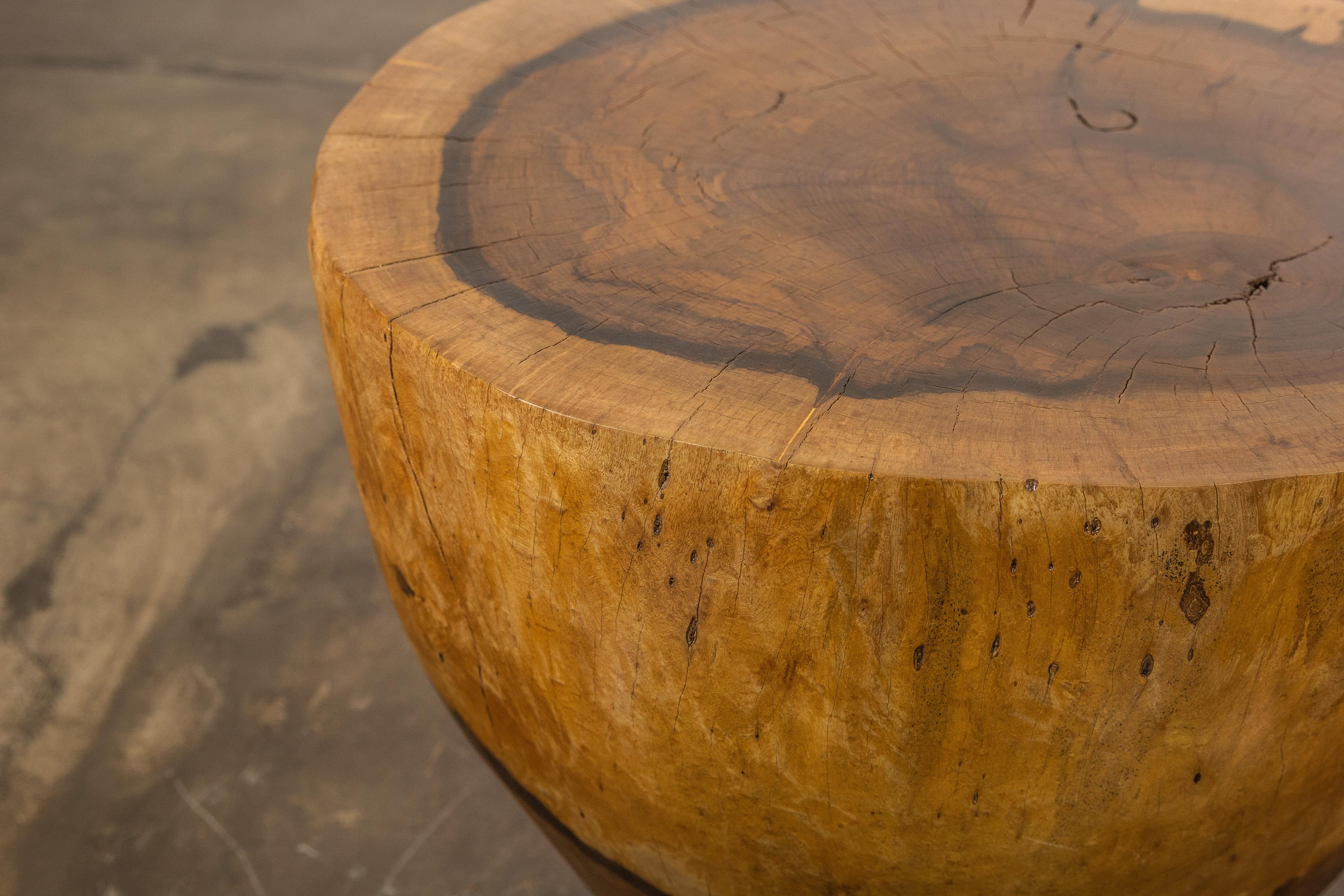 Carved Live Edge Solid Wood Trunk Table ƒ33 by Costantini, Francisco, in Stock For Sale 2