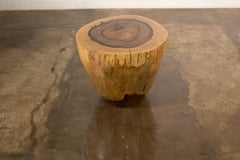 Carved Live Edge Solid Wood Trunk Table ƒ36 by Costantini, Francisco, in Stock