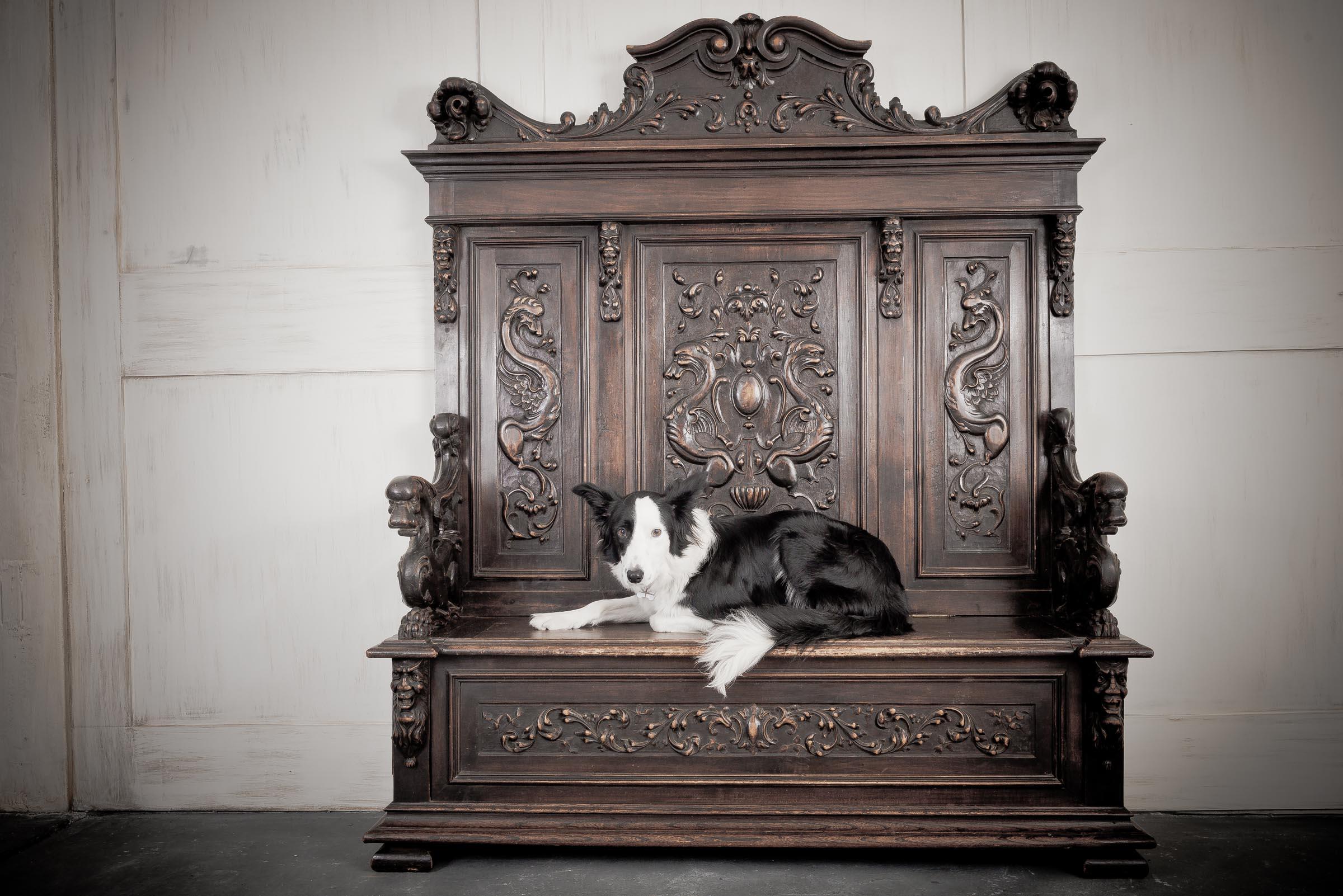 Carved Louis XVIII French Chateau Walnut Settle/Monks Bench, Early 19th Century For Sale 10