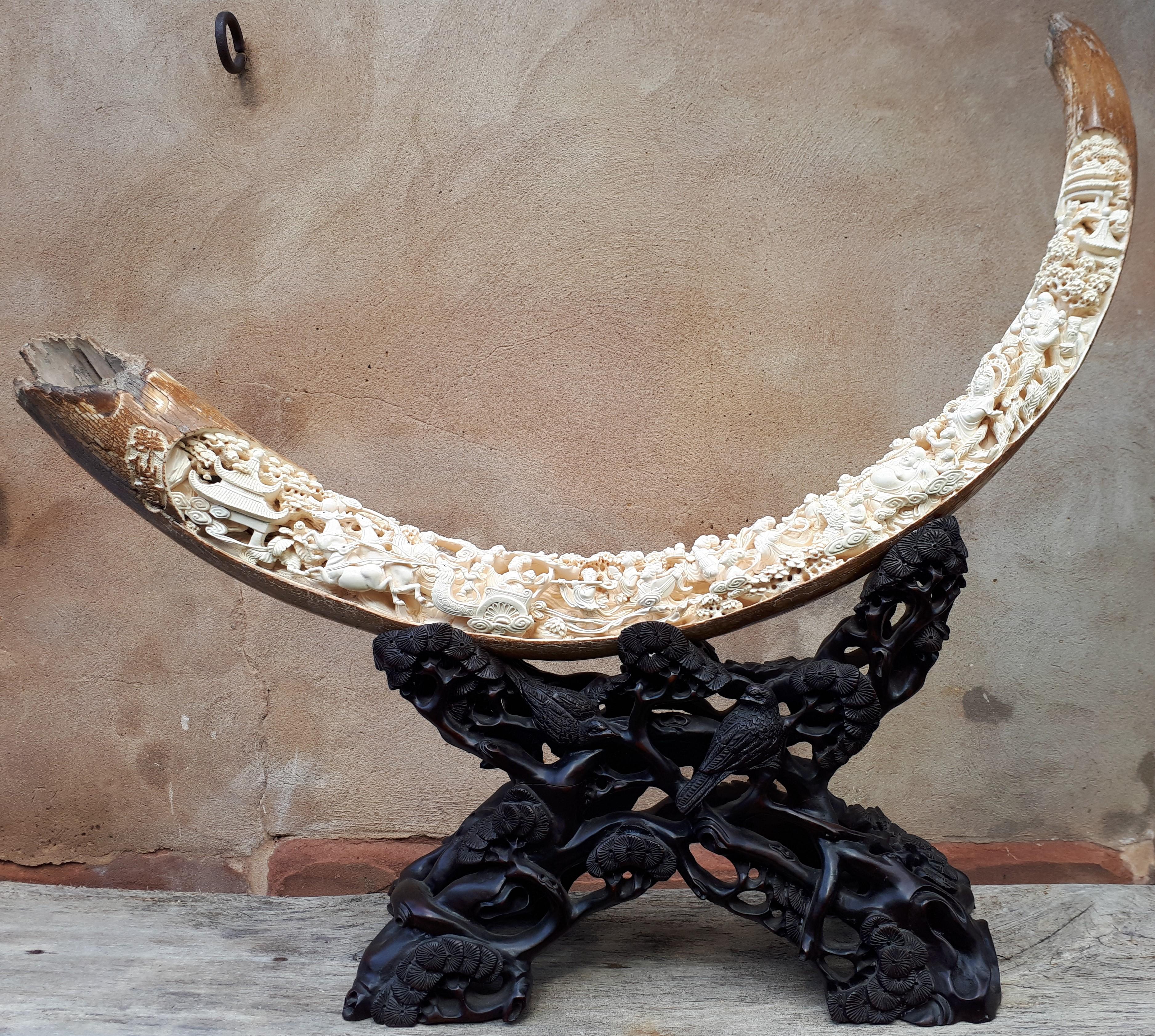 Large mammoth tusk and its wooden support, all finely hollowed out and carved.
An exceptional piece that will delight any collector of Asian art. Much more impressive in real life than in photos !
Length of curve of mammoth tusk : 147 cm.

The